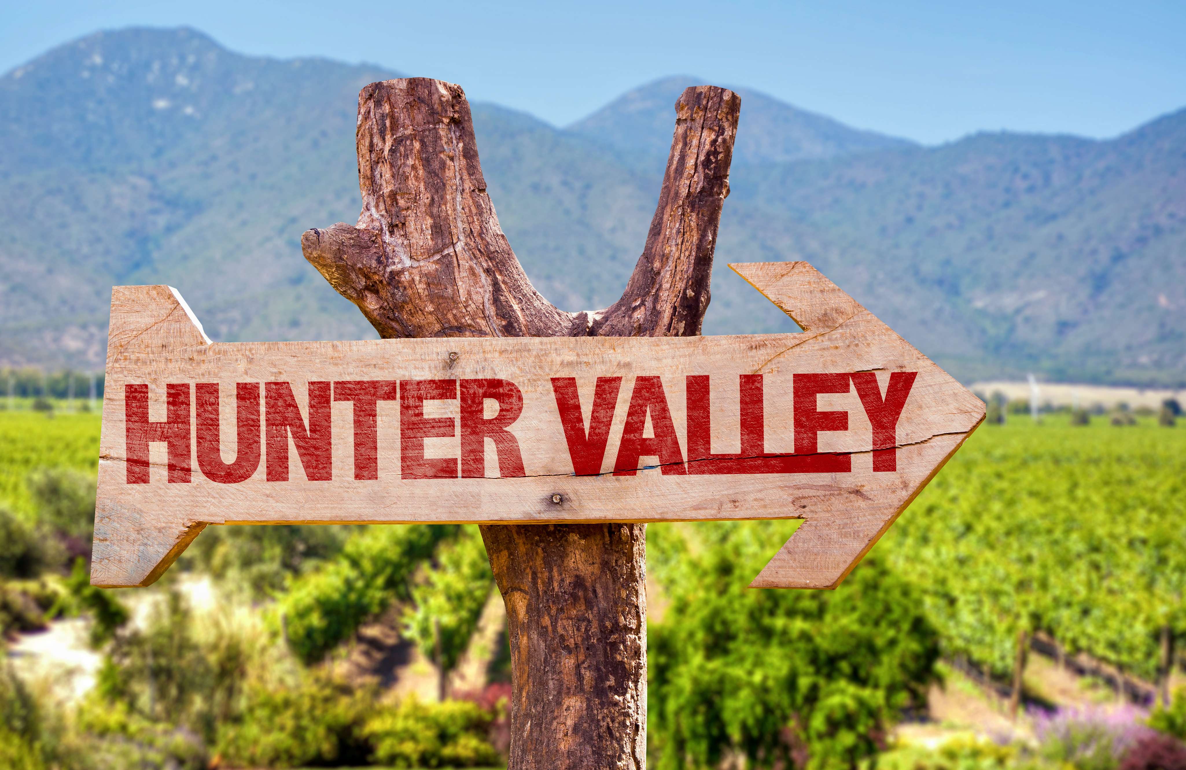 Take a Day Trip to Hunter Valley