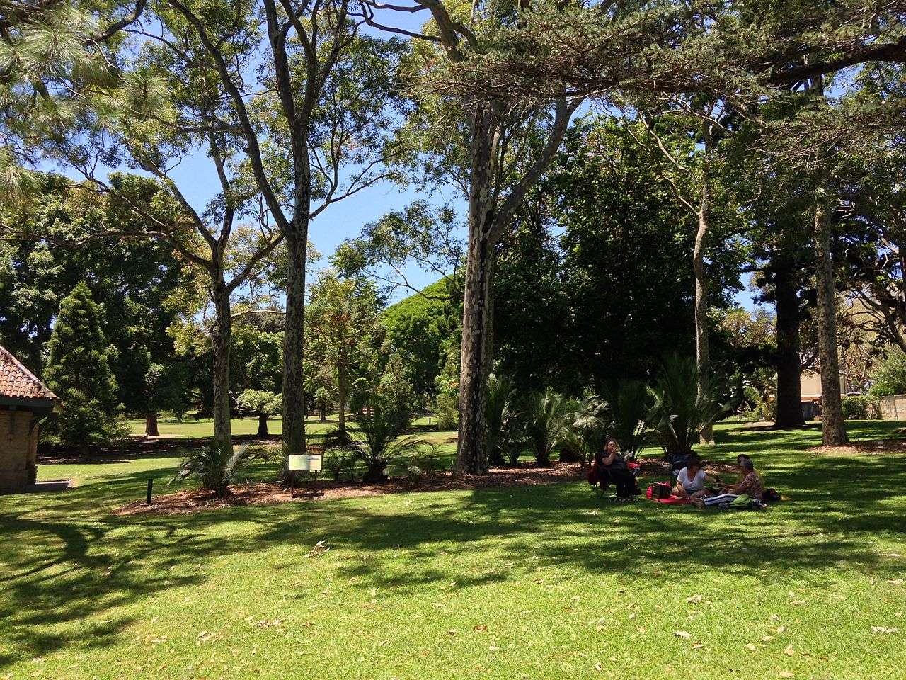 Book a Mystery Picnic in The Botanic Gardens