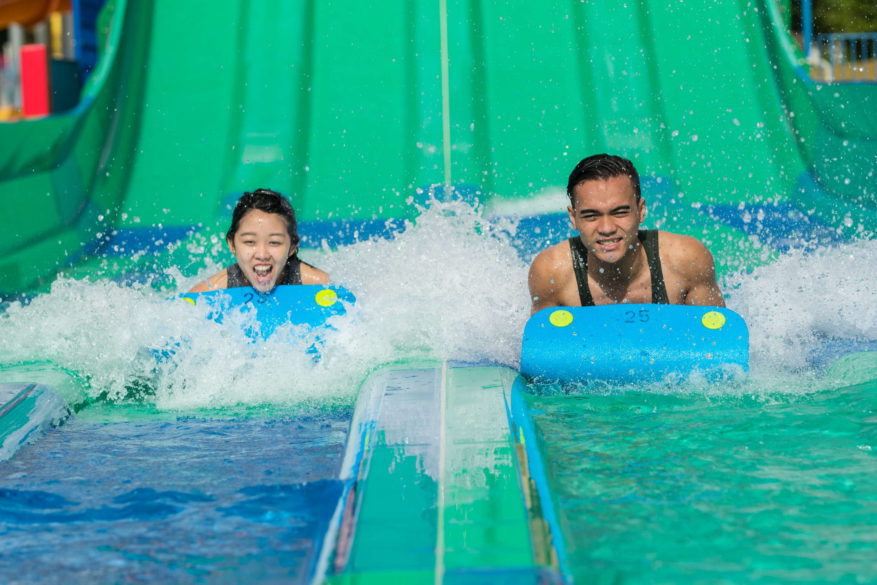 Experience Rides at SeaWorld