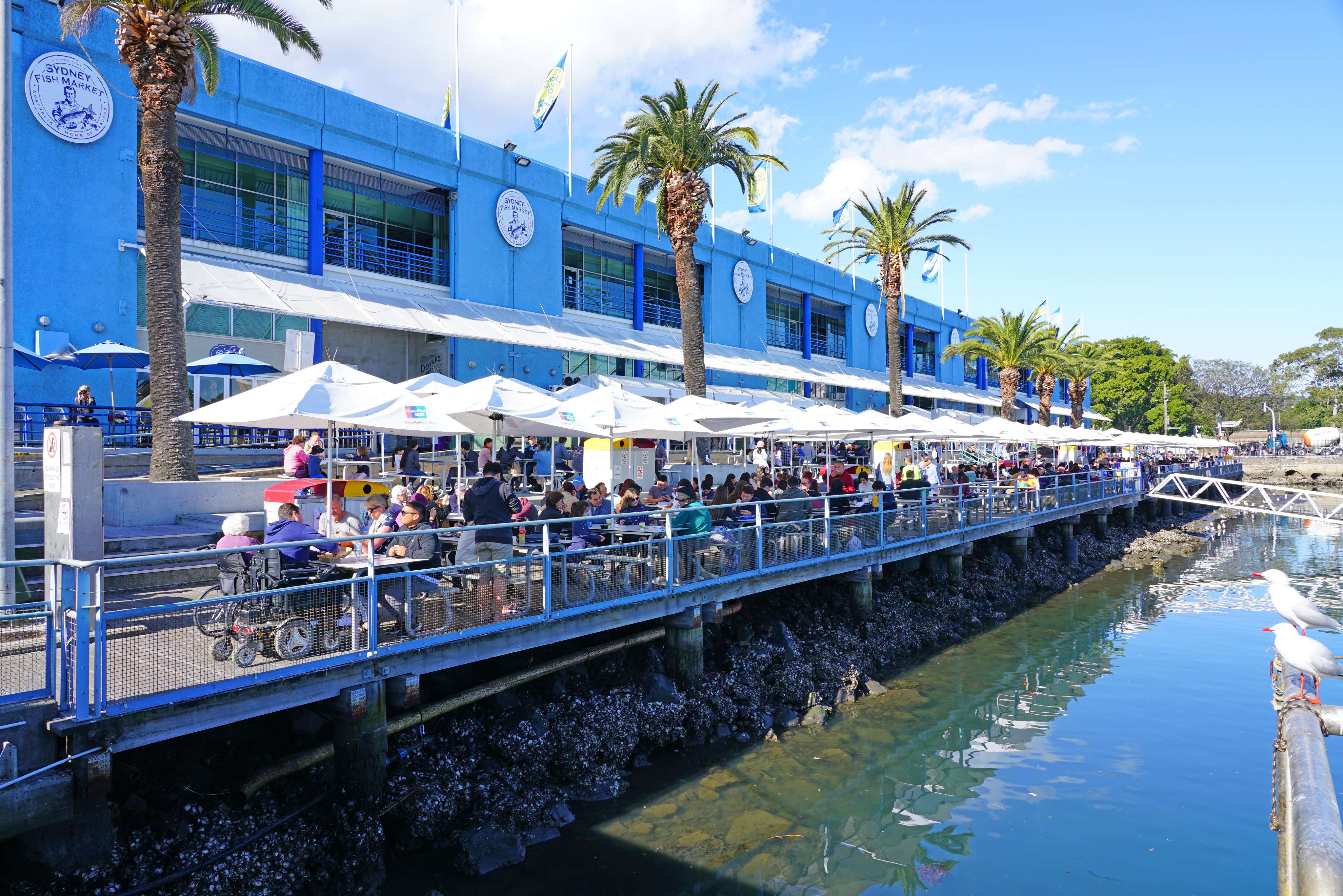 Discover New Tastes at The Pyrmont Food And Wine Festival