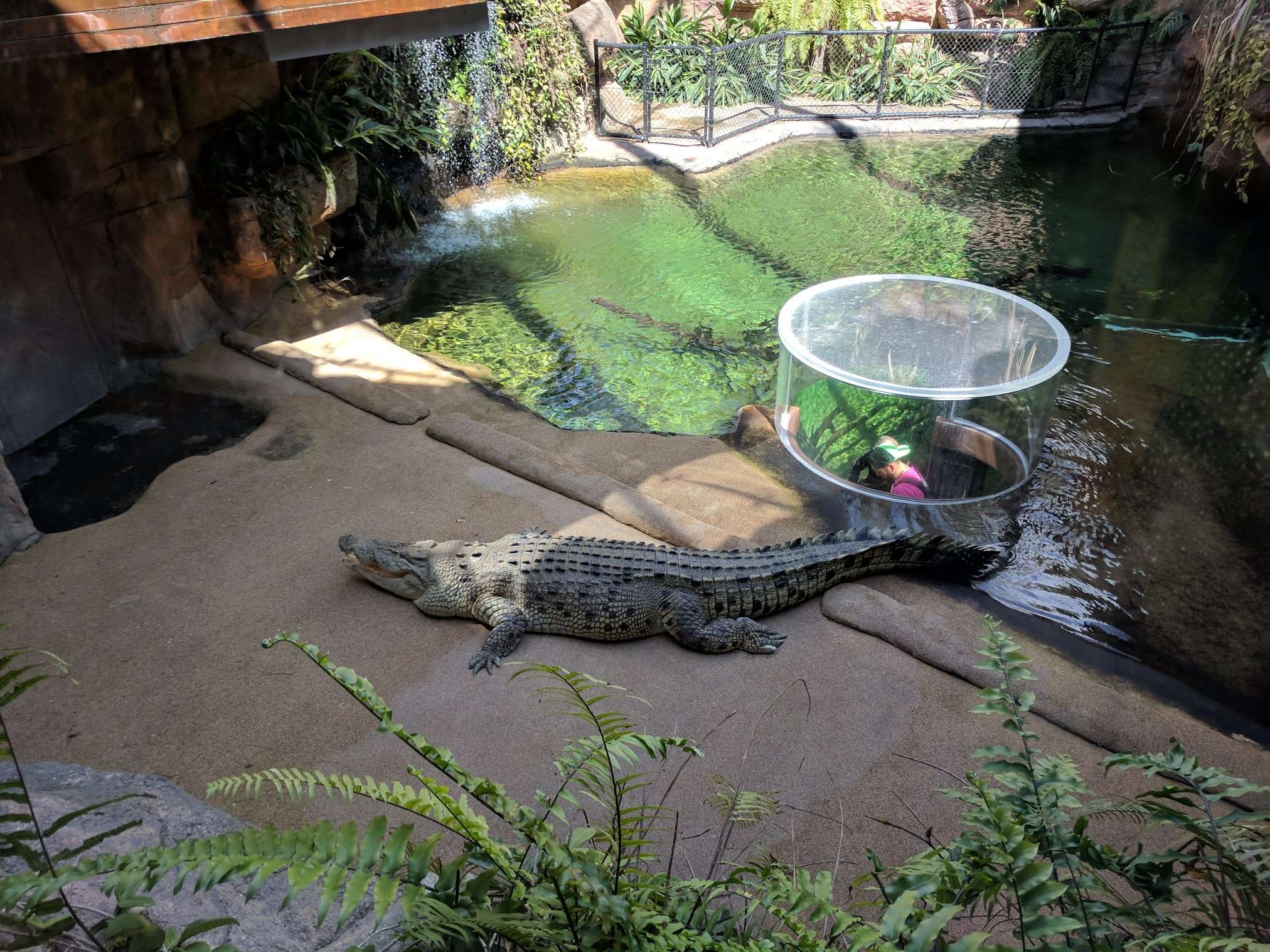 Sydney Zoo