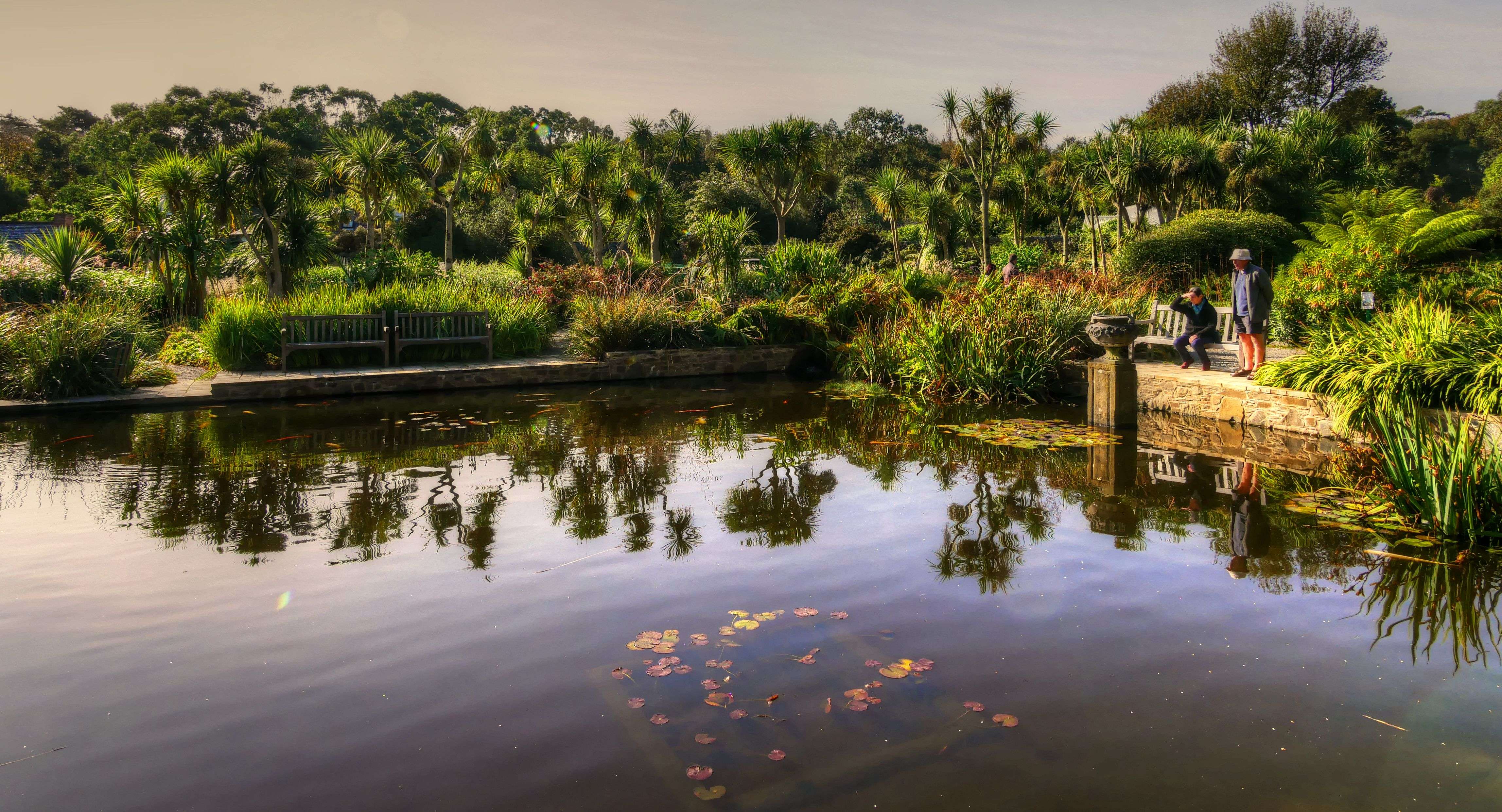Visit the Tamborine Mountain Botanic Gardens