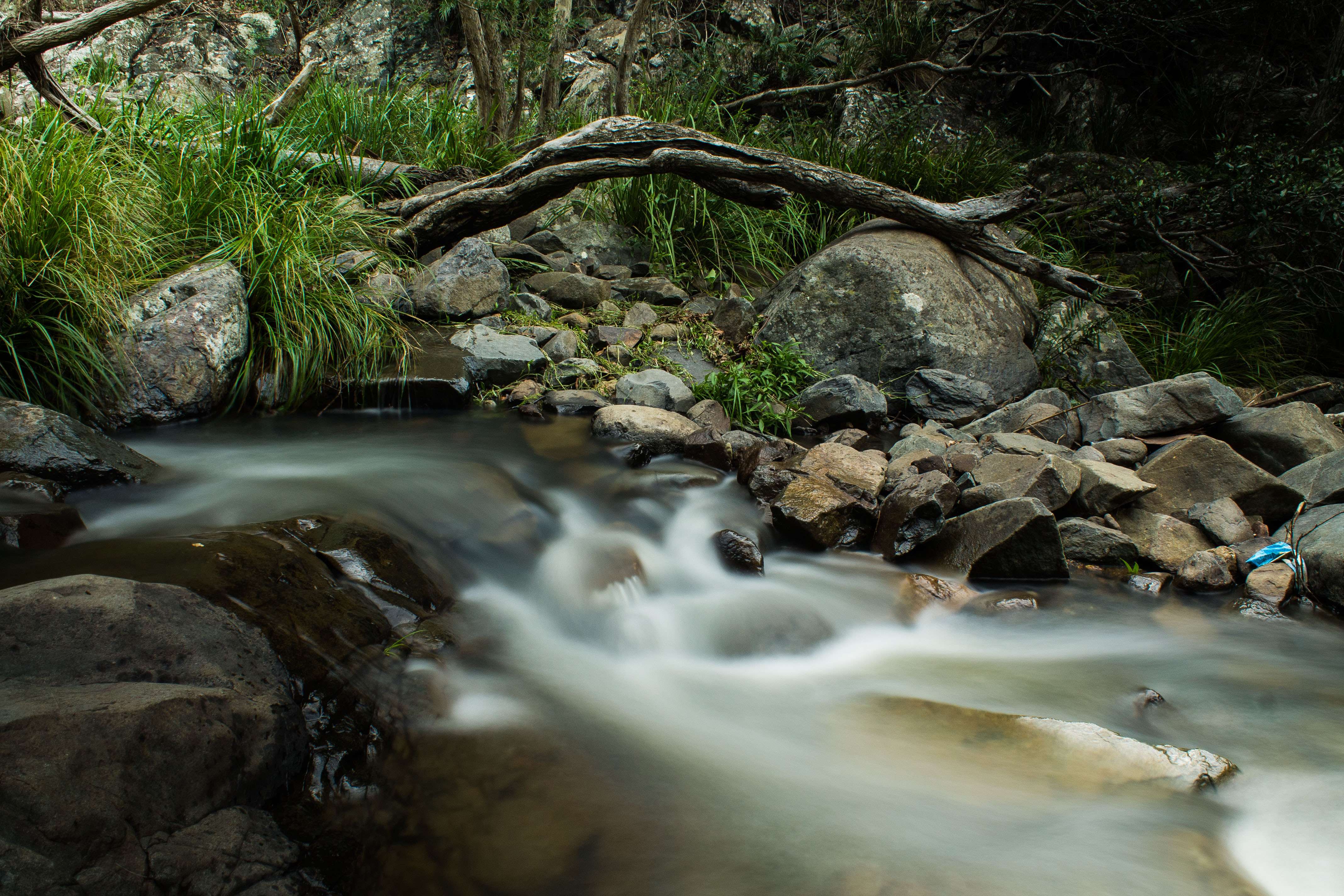  Hike at Cedar Creek Falls