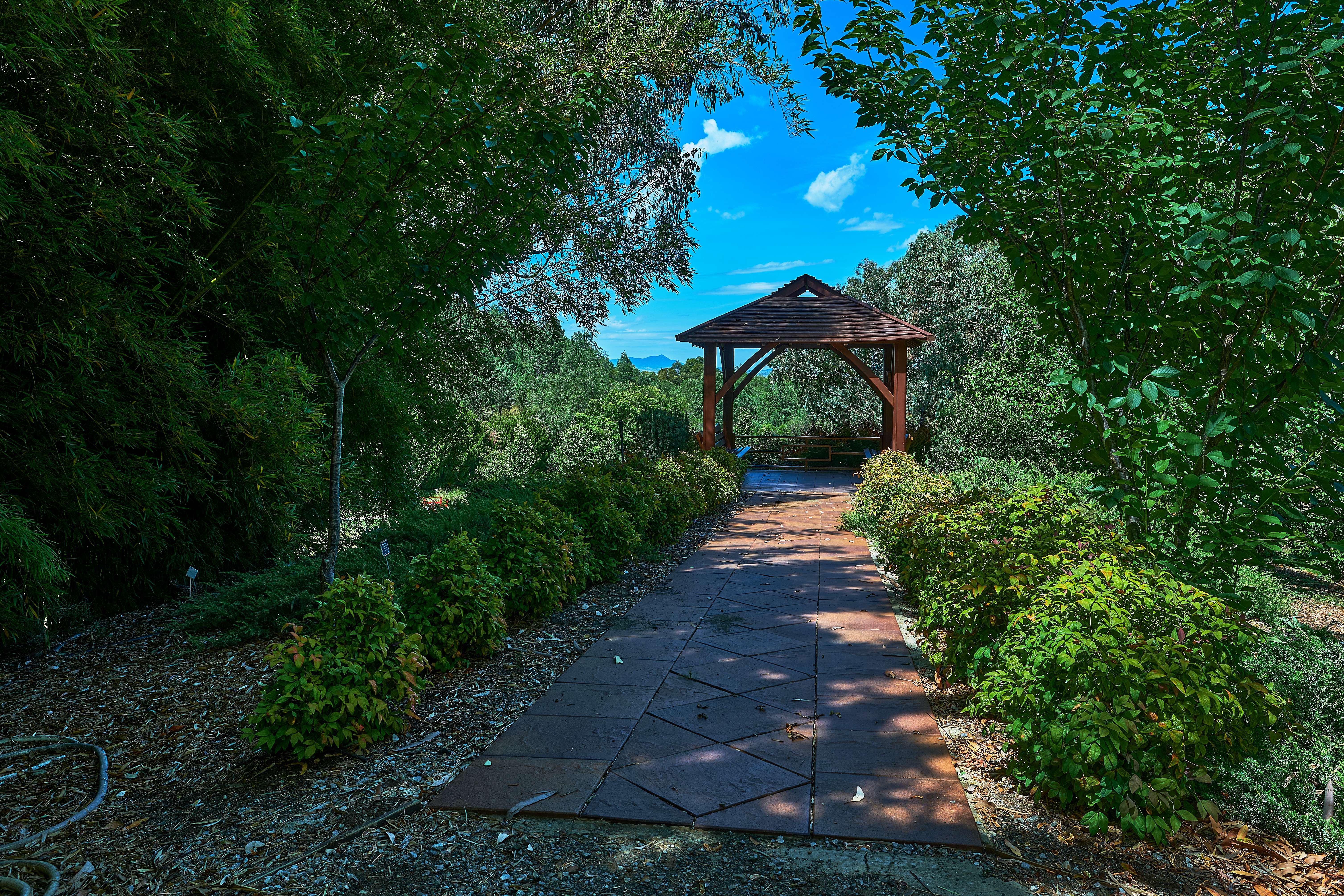  Gold Coast Regional Botanic Gardens