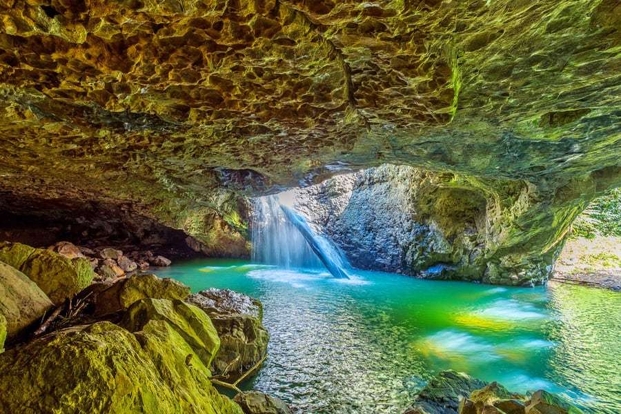 Springbrook National Park