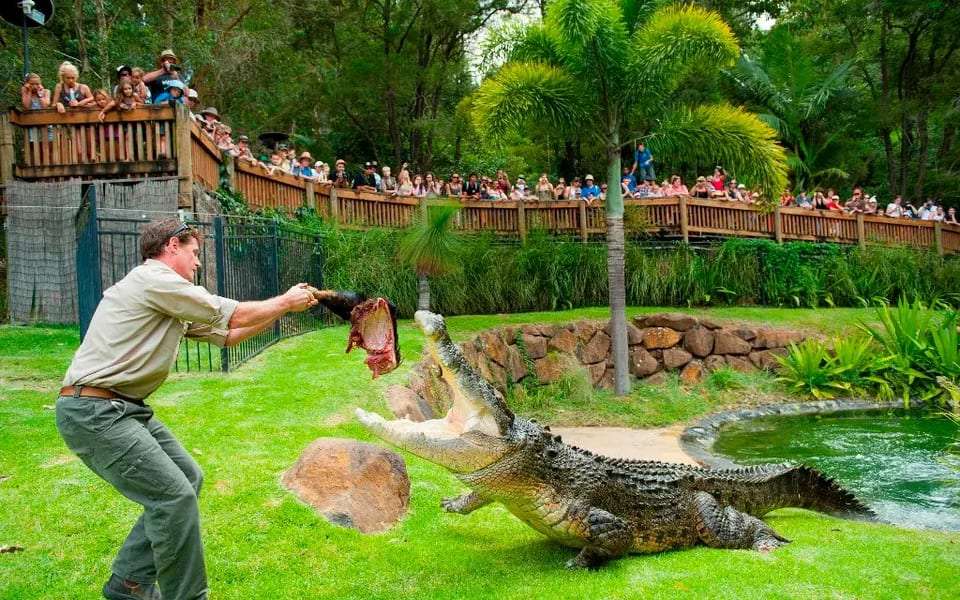 Currumbin Wildlife Sanctuary