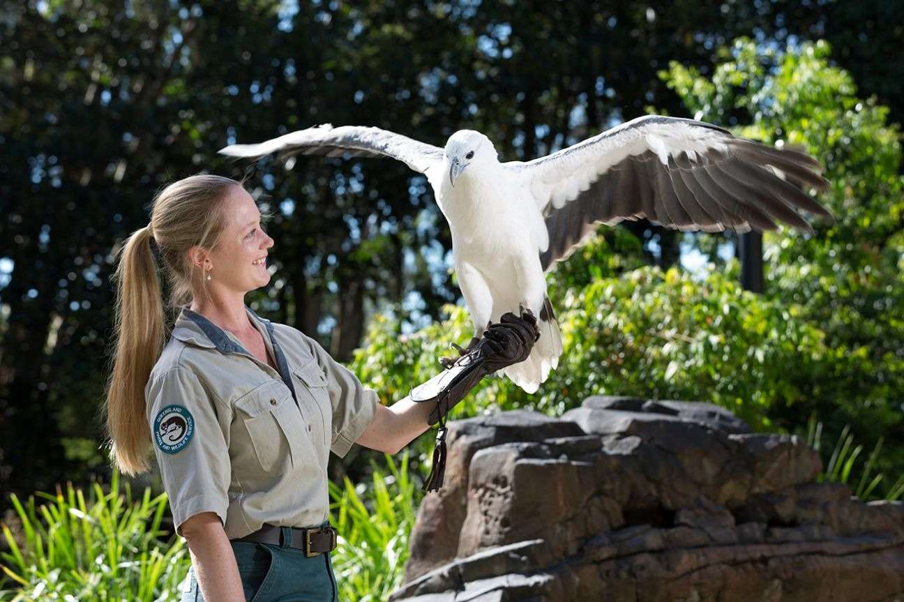 David Fleay Wildlife Park
