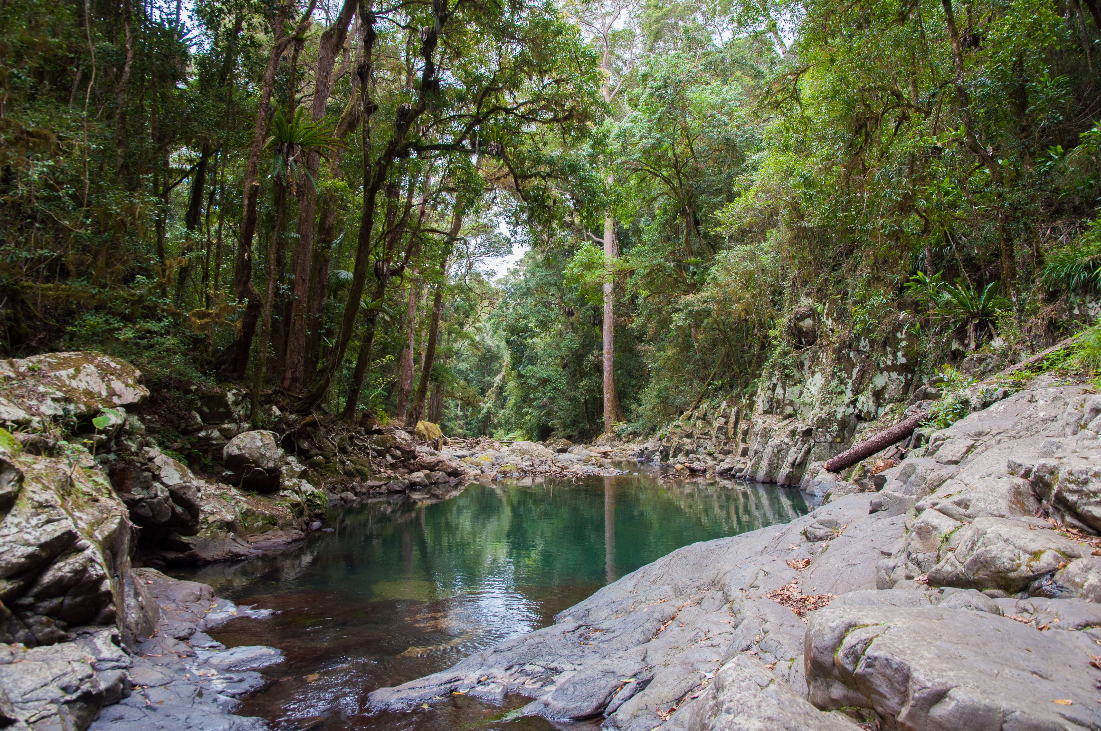 Miami Bushland Reserve