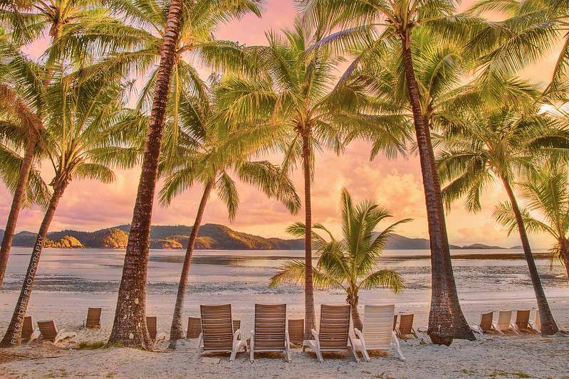 Discover the Hamilton Island