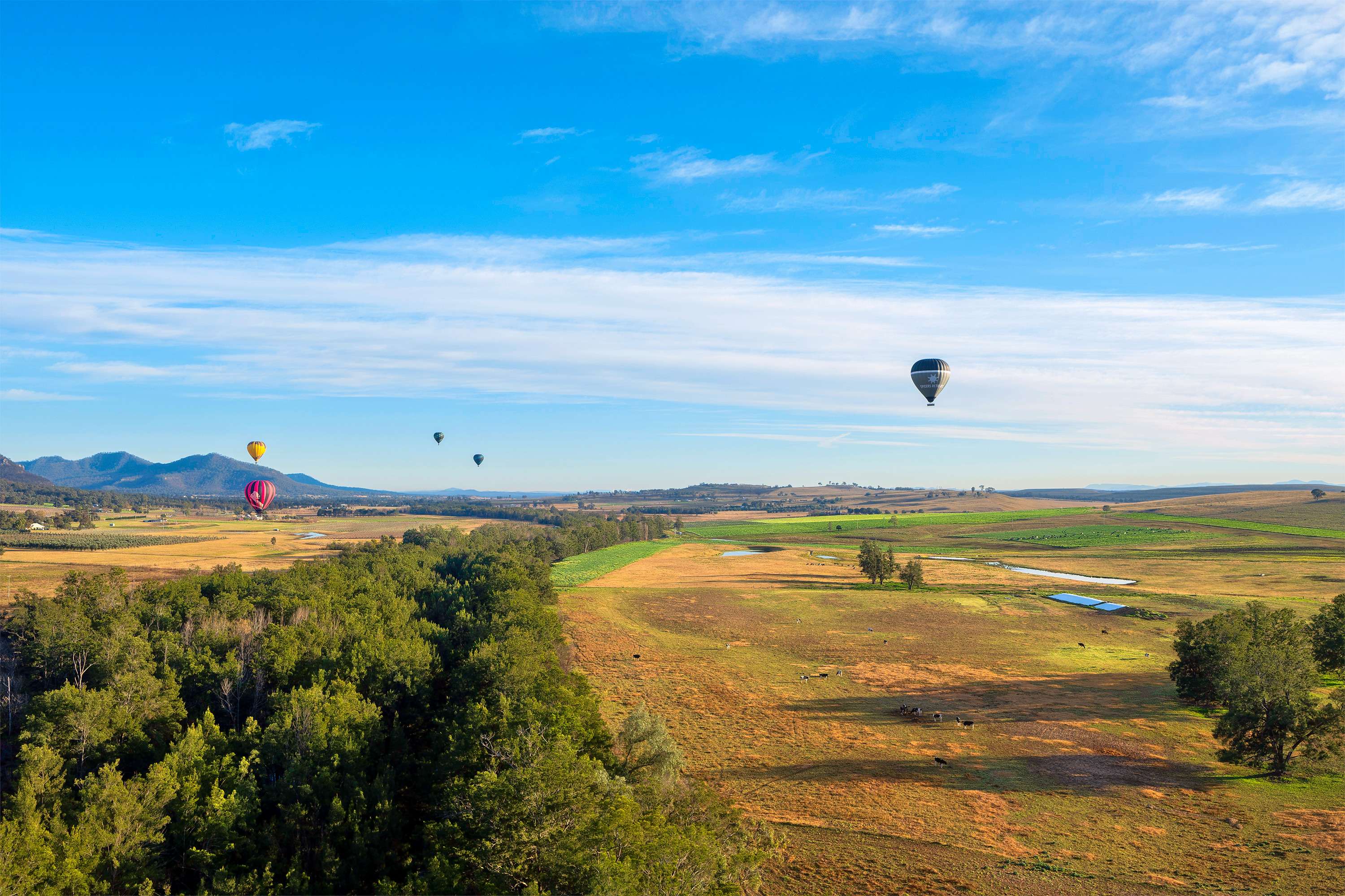 15 Things to Do in Sydney in Winter | Get UPTO 30% Off Deals!