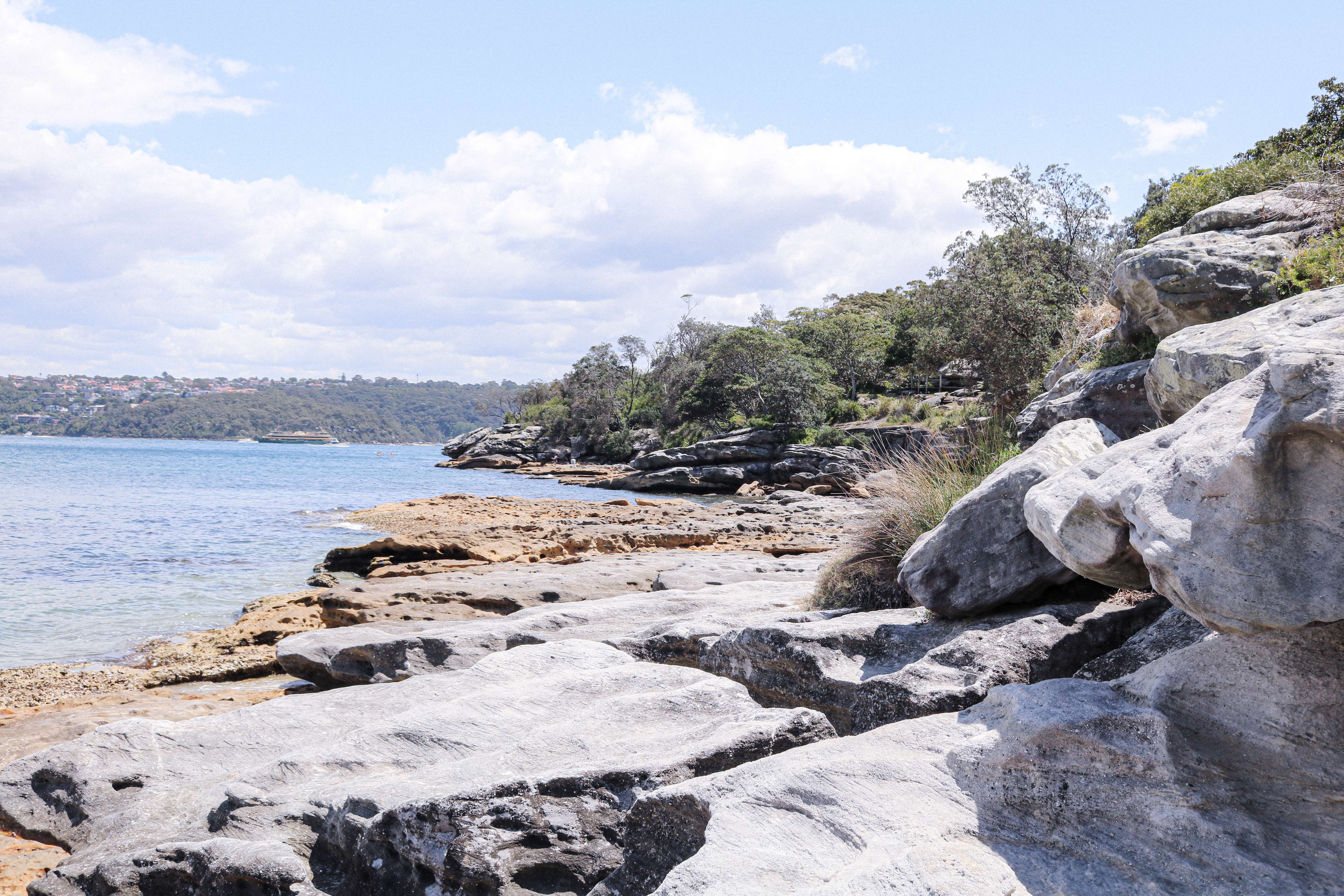 Enjoy at Milk Beach Vaucluse