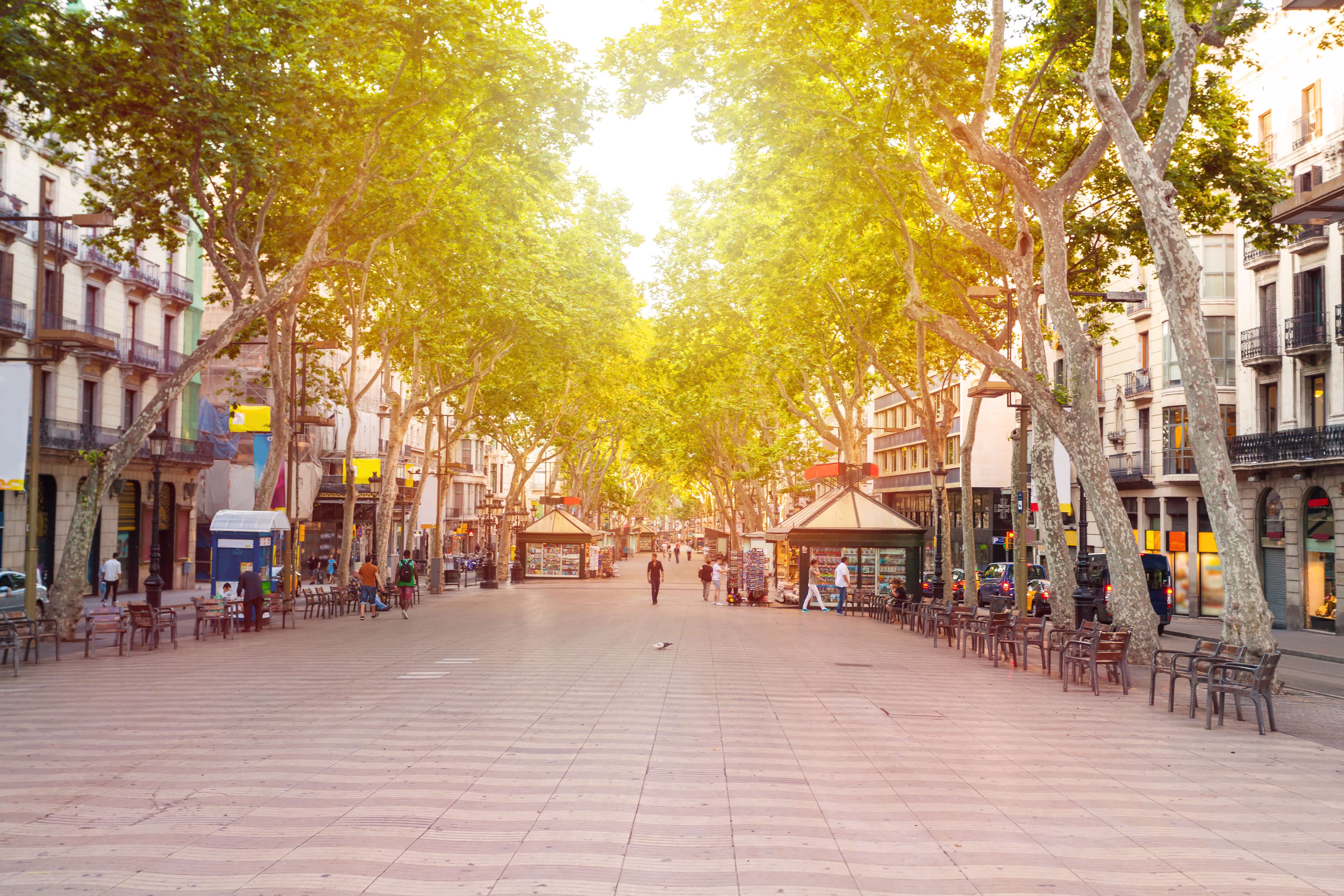 Stroll Around La Rambla Street