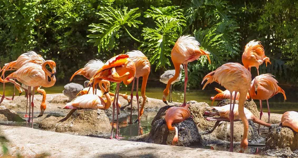 Meet the Animals at Barcelona Zoo