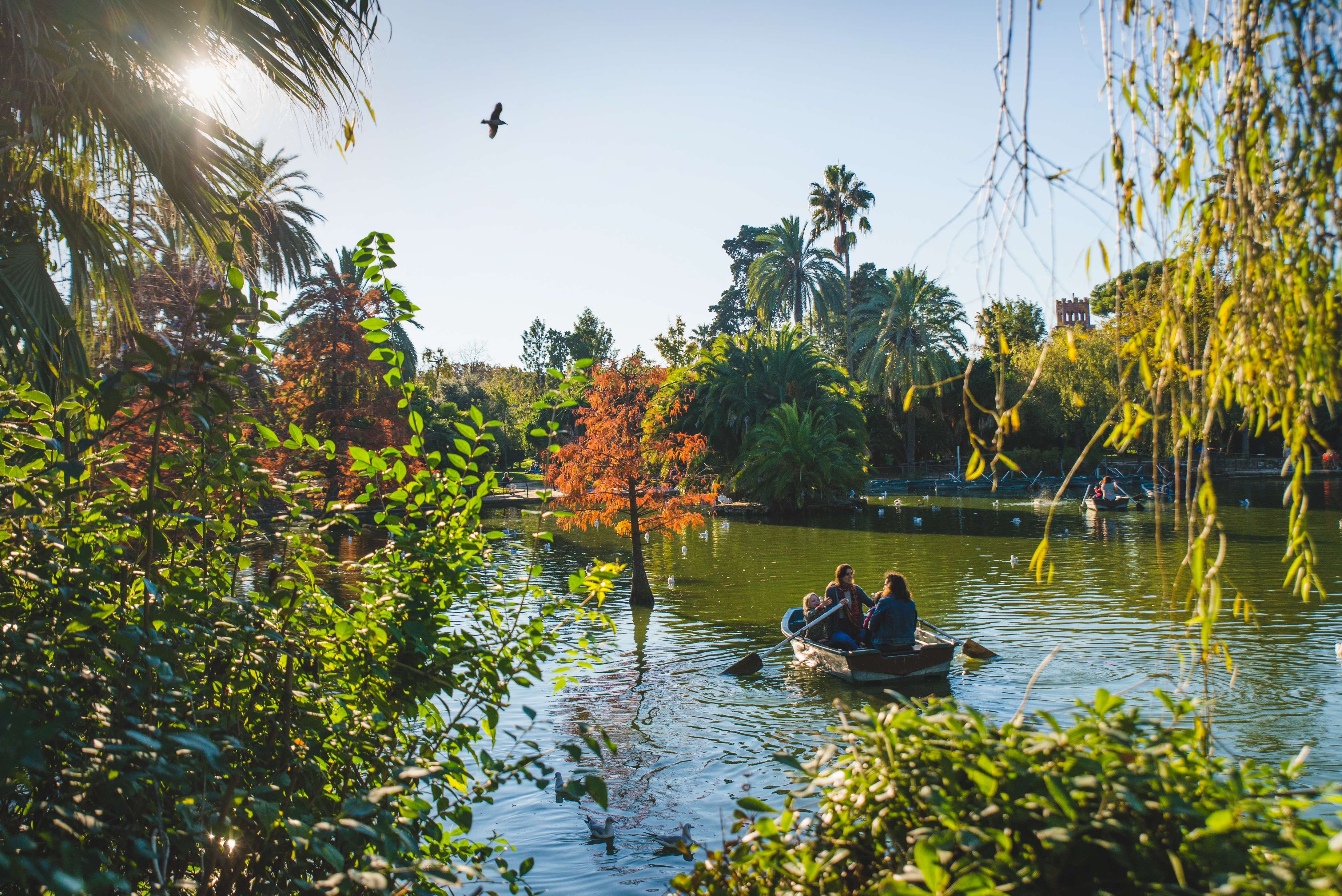 Boating at Lake of Parc de la Ciutadella
