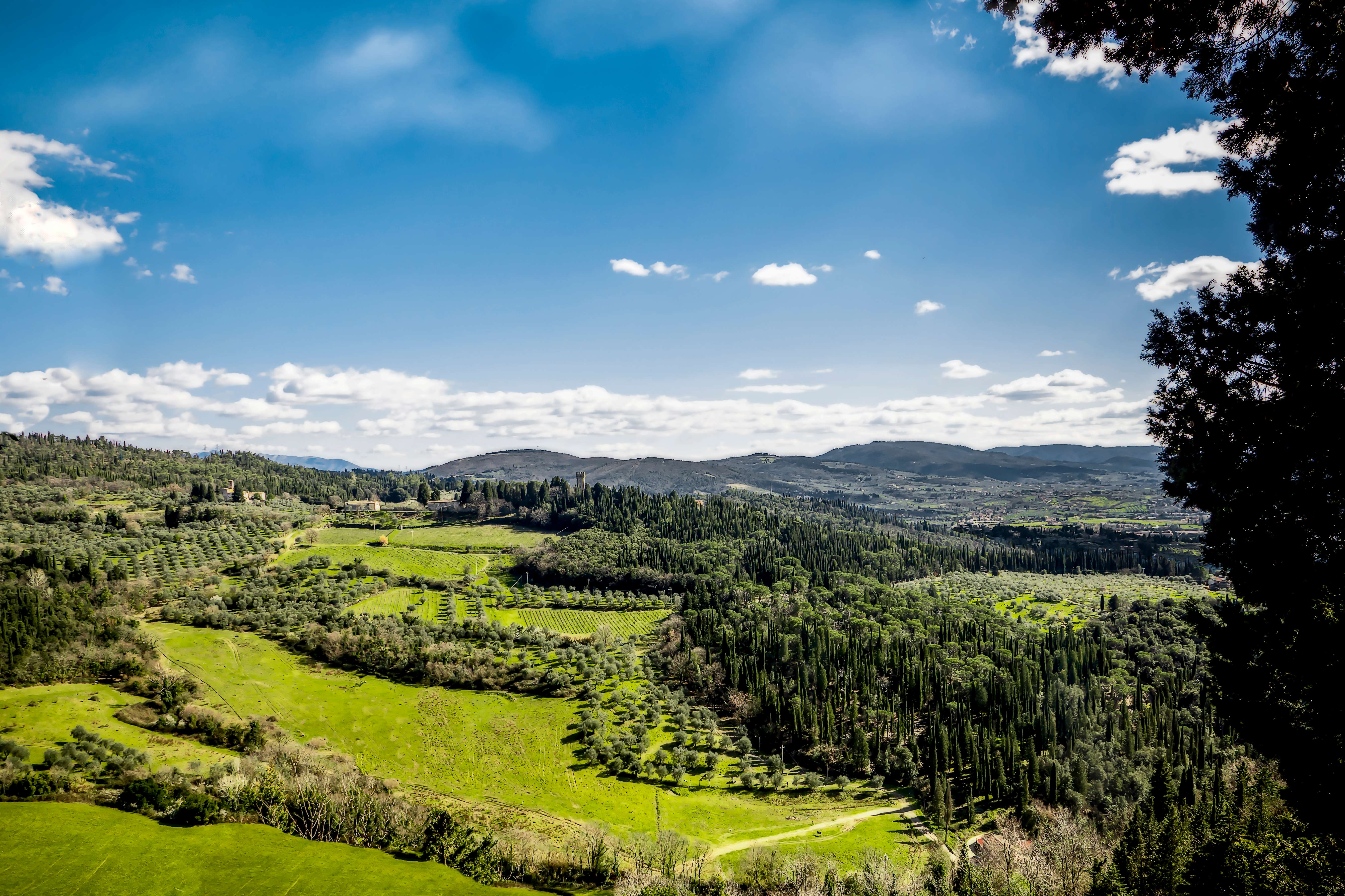Climb The Hill Where Leonardo Tried To fly