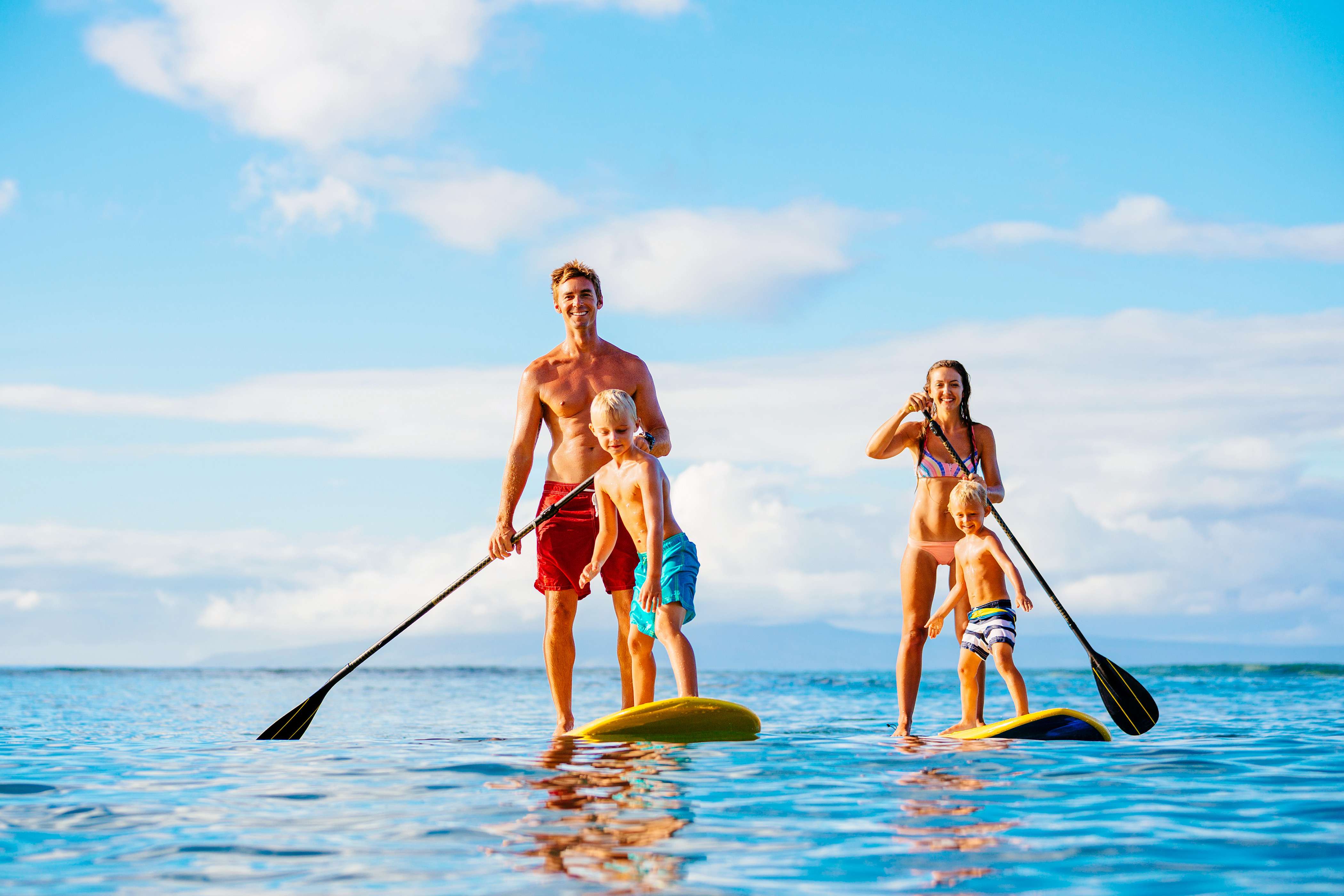 Experience Watsons Bay Stand Up Paddling