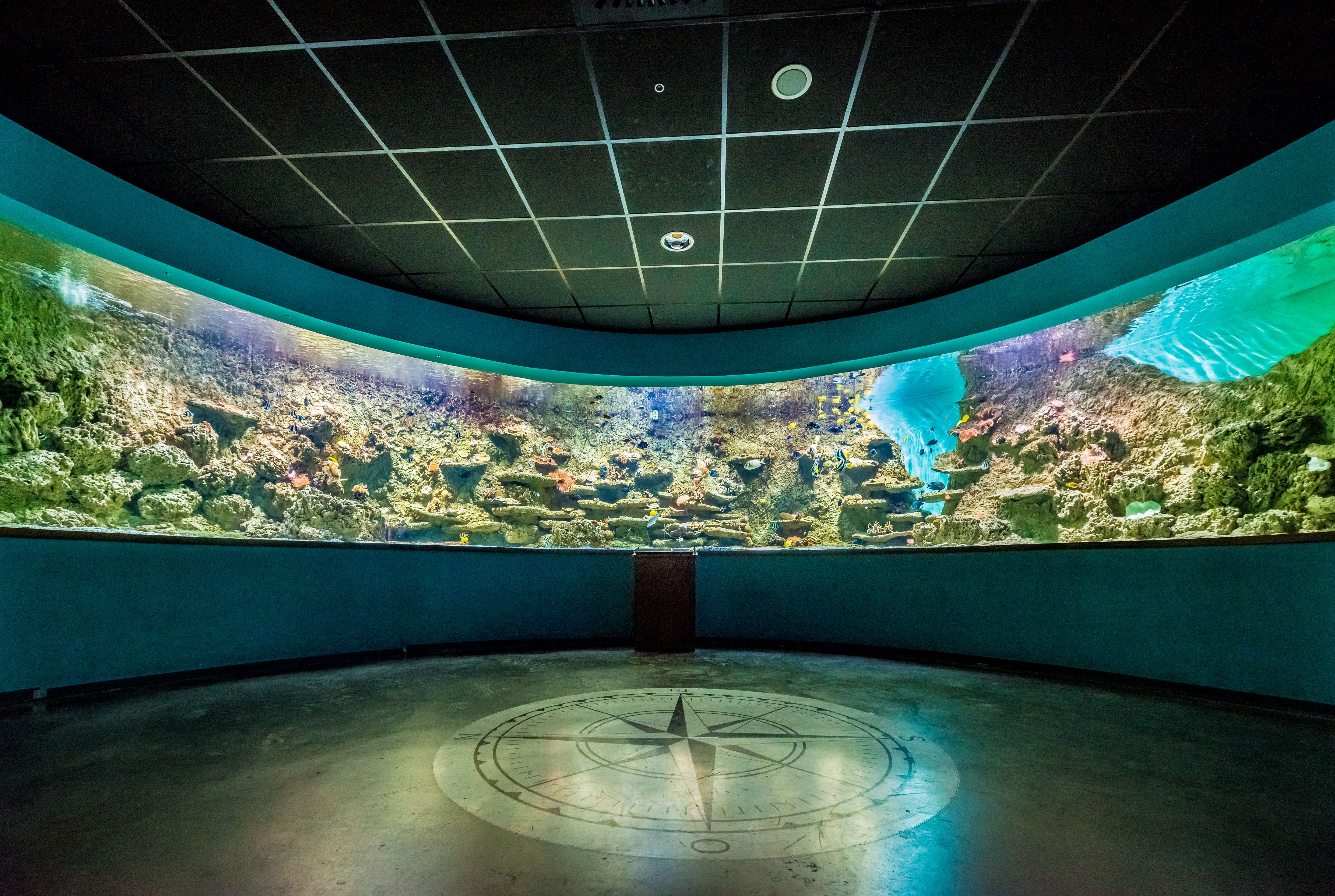 Visit Seville Aquarium