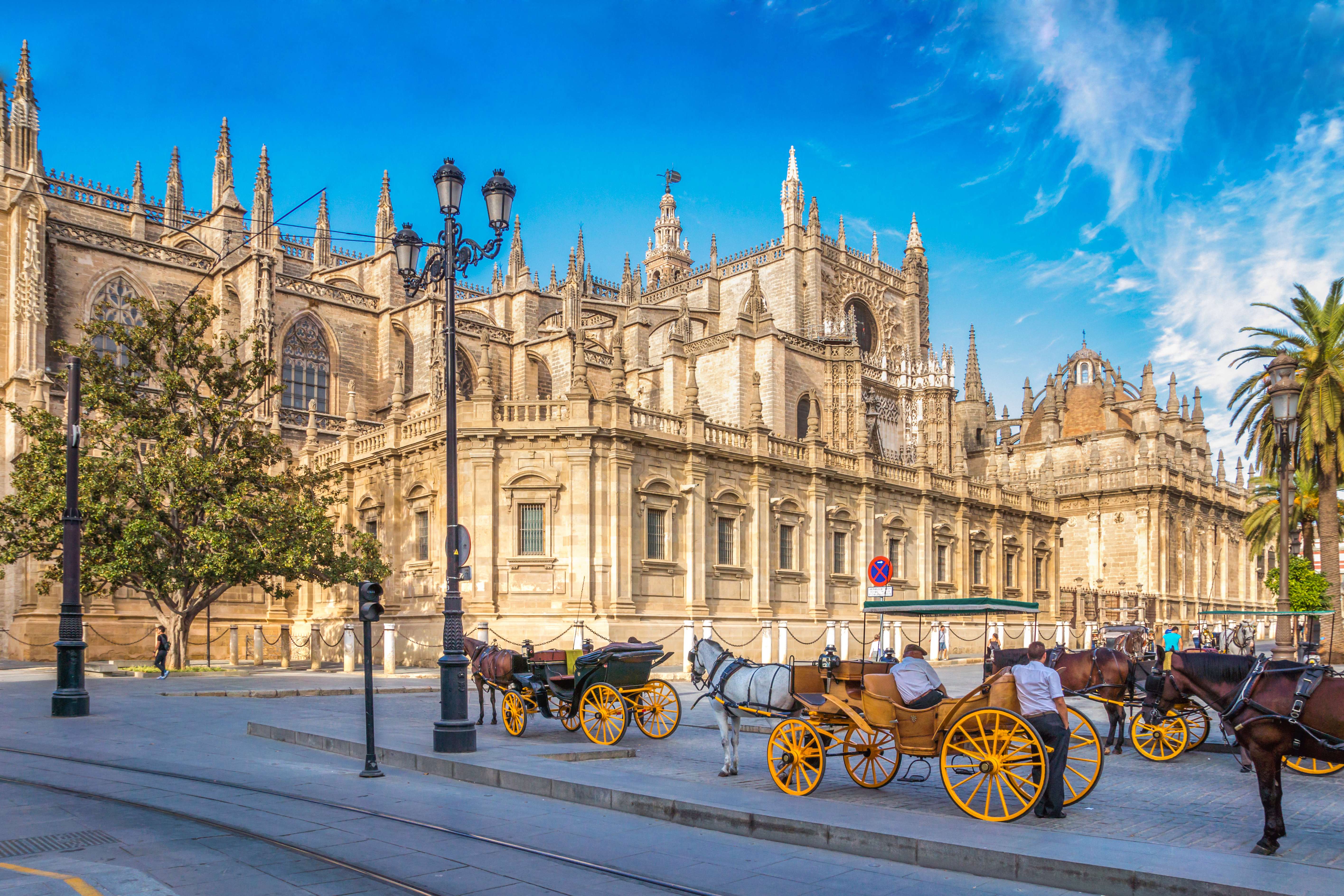 Explore Seville Cathedral