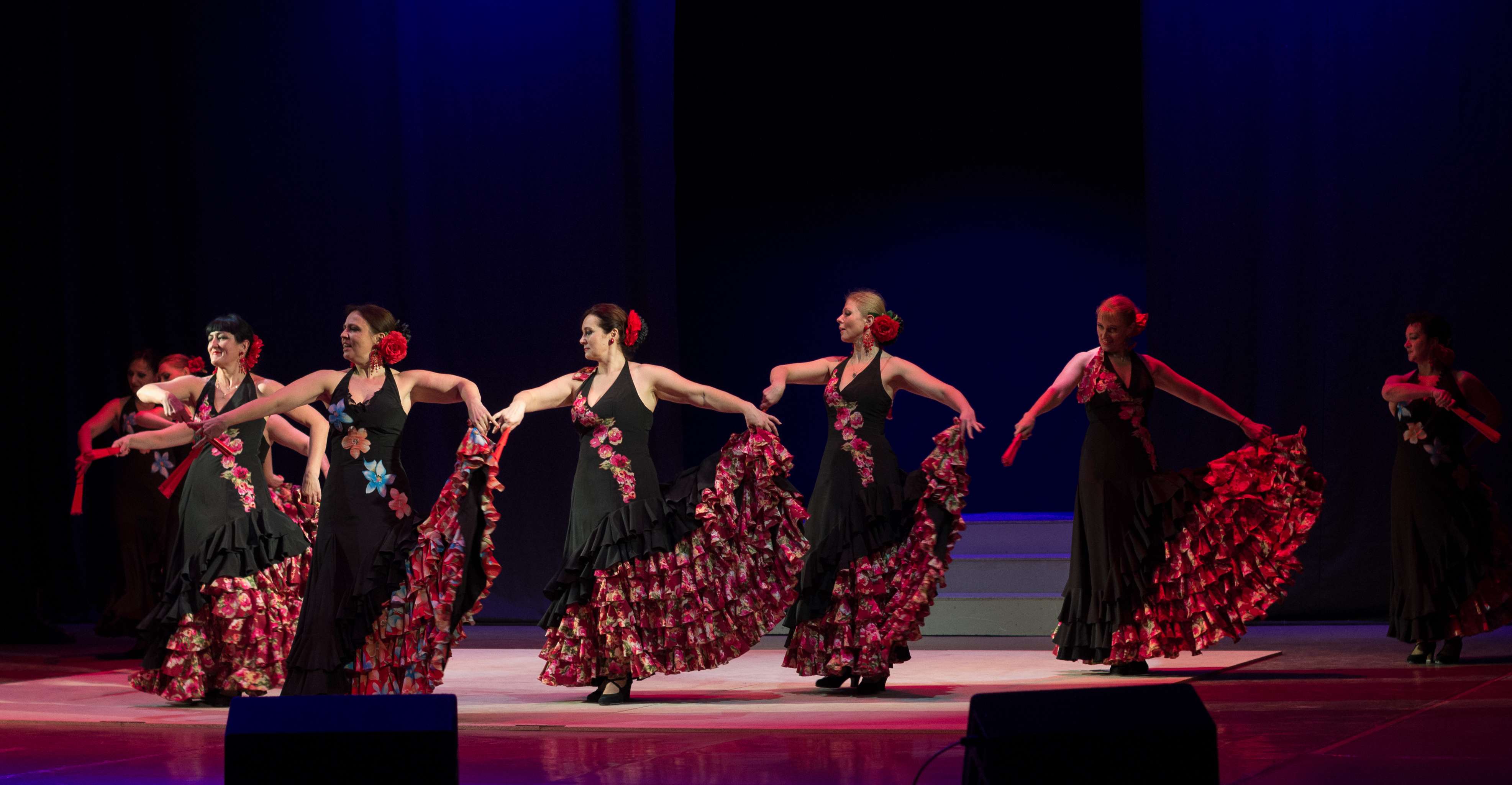 Watch A Flamenco Show