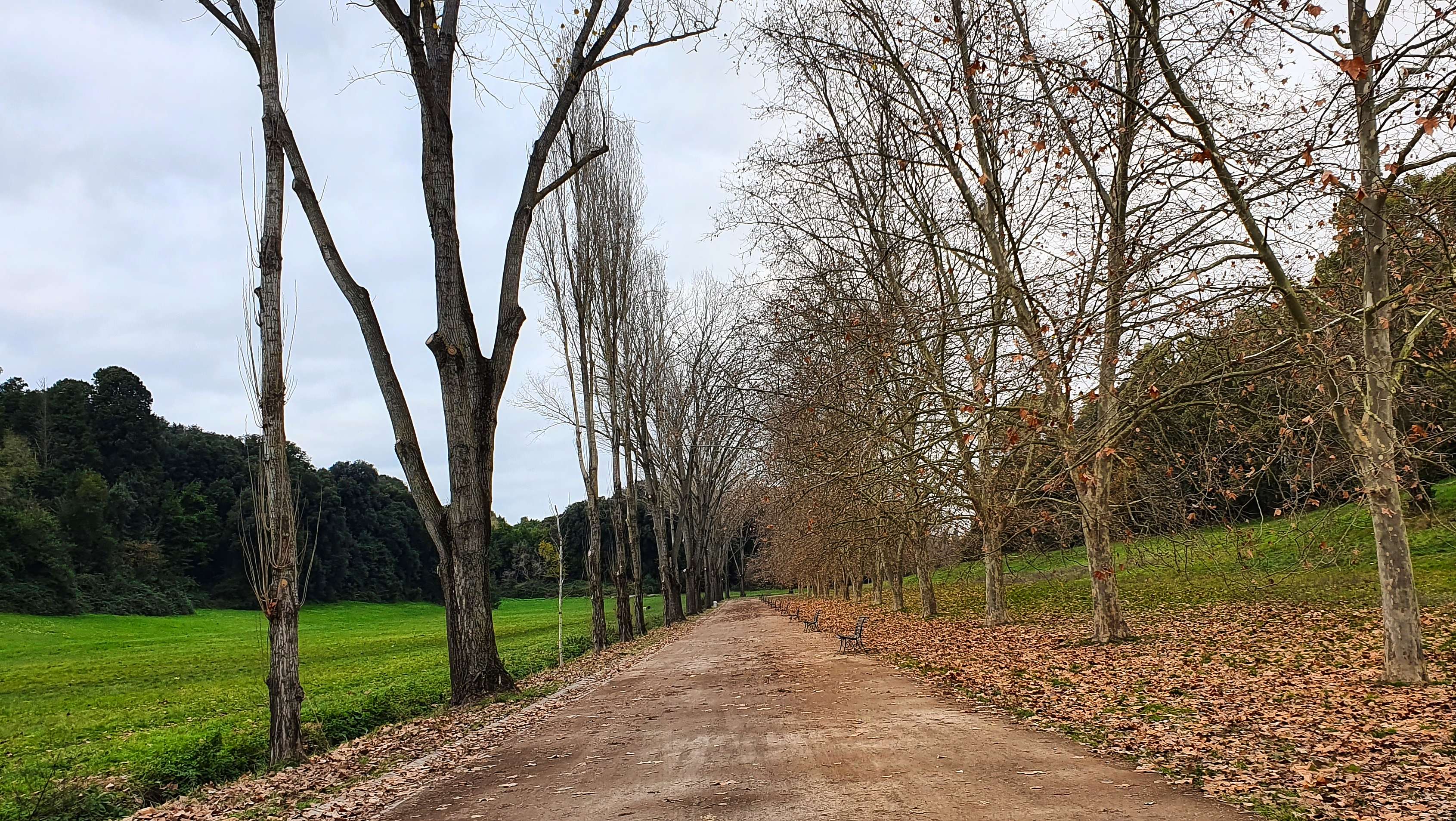 Stroll through Villa Doria Pamphili