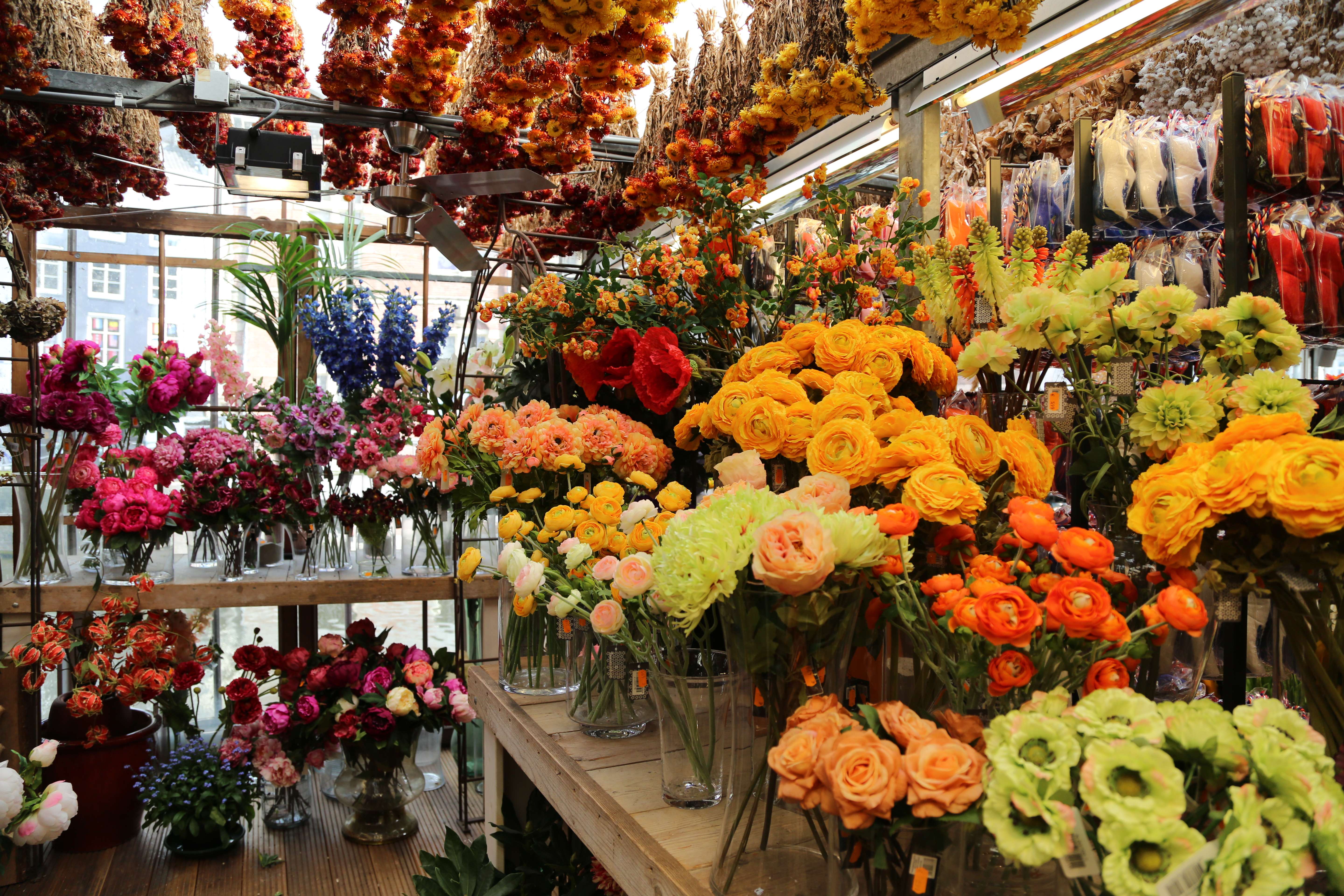 Visit the Flower market (Bloemenmarkt)