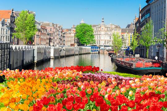 10 Free Things to Do in Amsterdam For an Amazing Vacation!