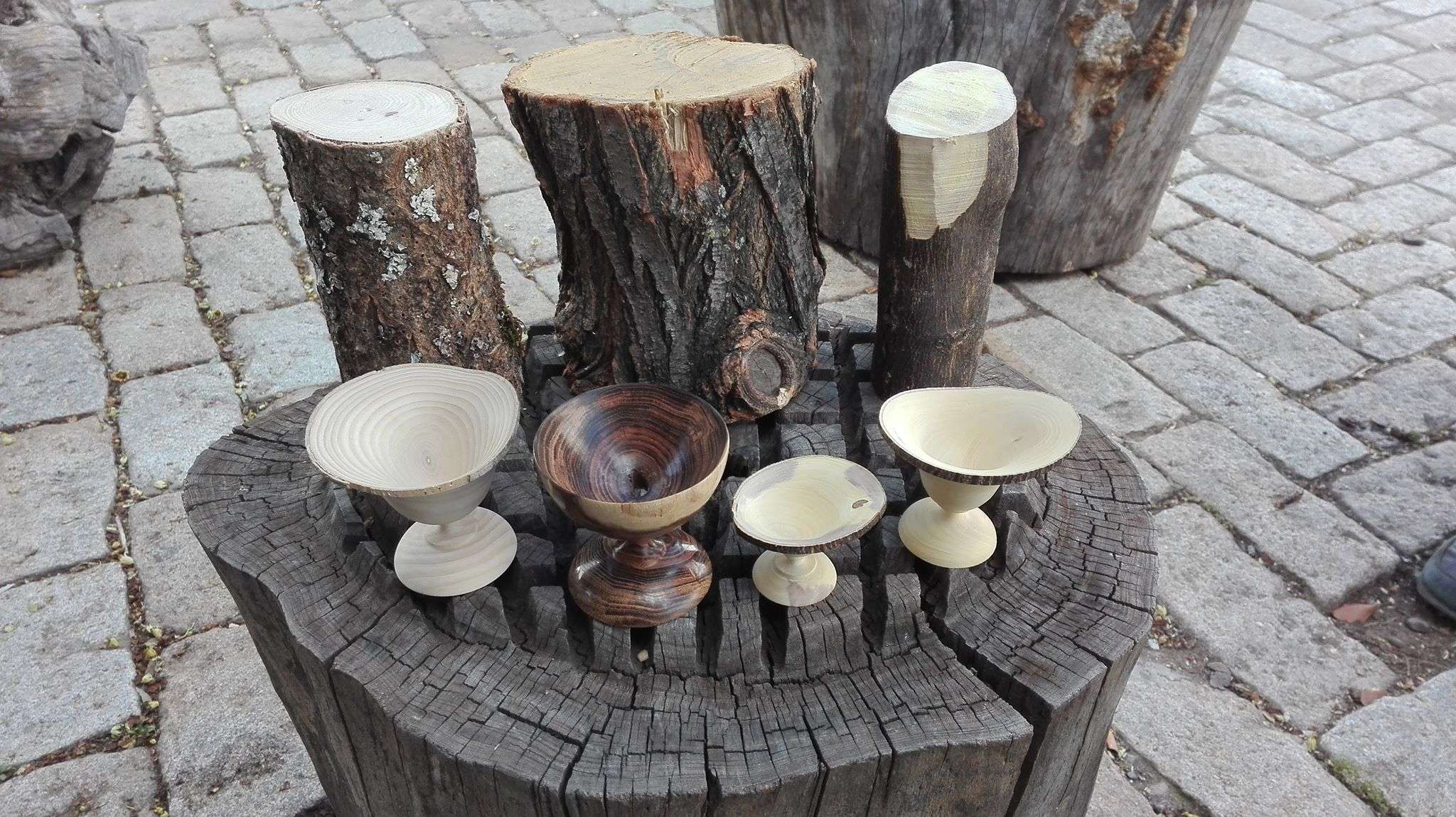 Discover Pelicano5 Art Collective