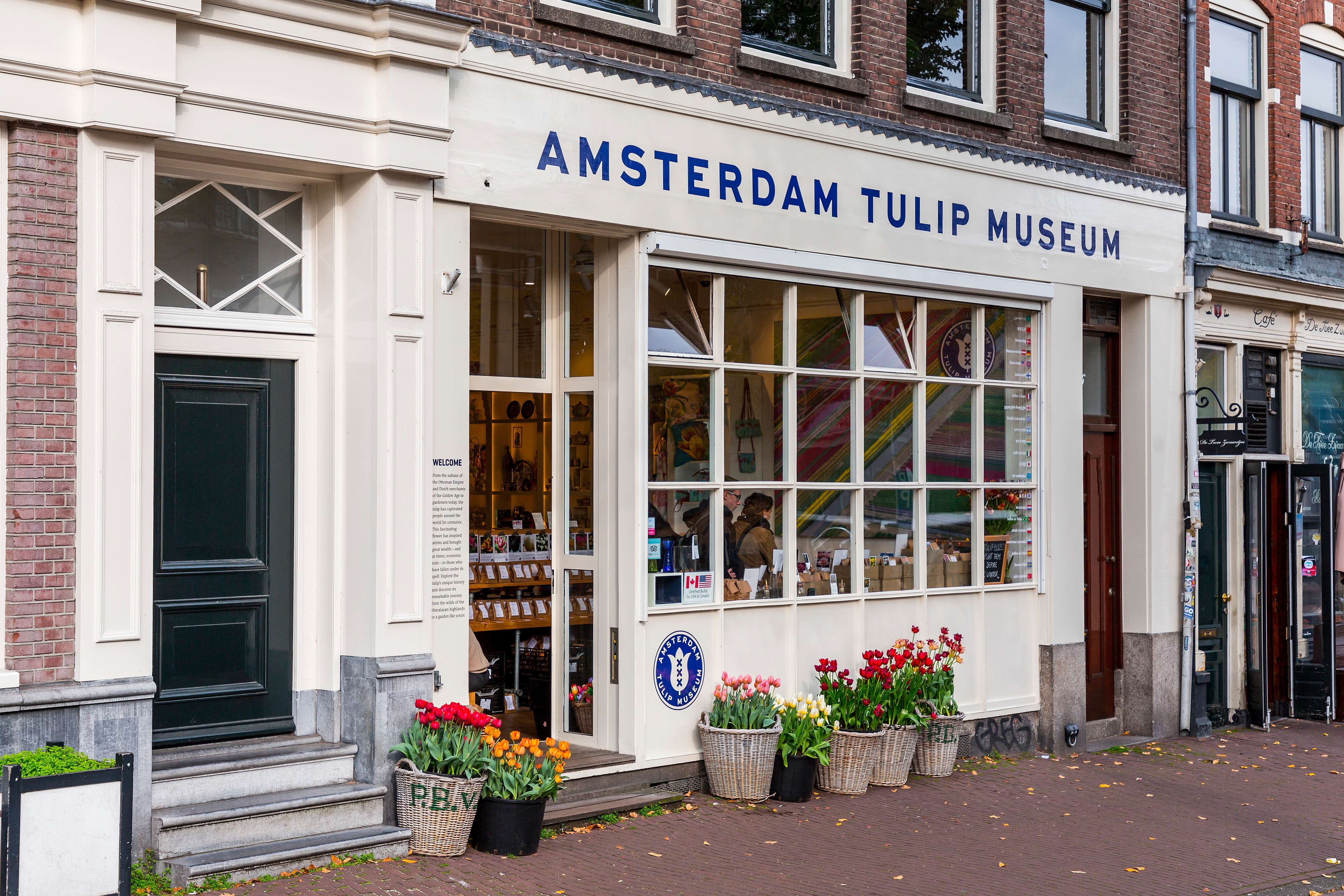Check out Amsterdam Tulip Museum