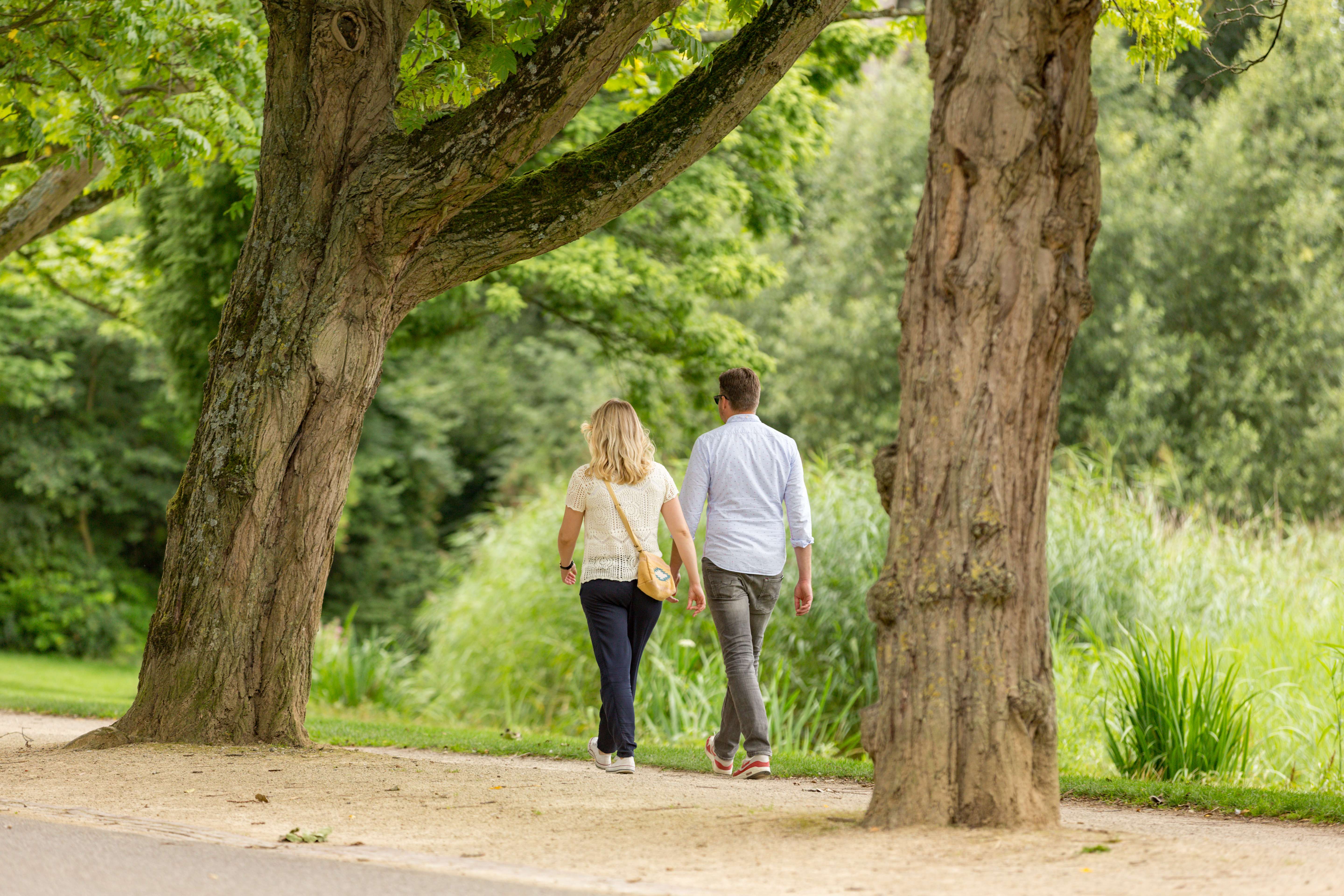 Romantic Walk at Vondelpark