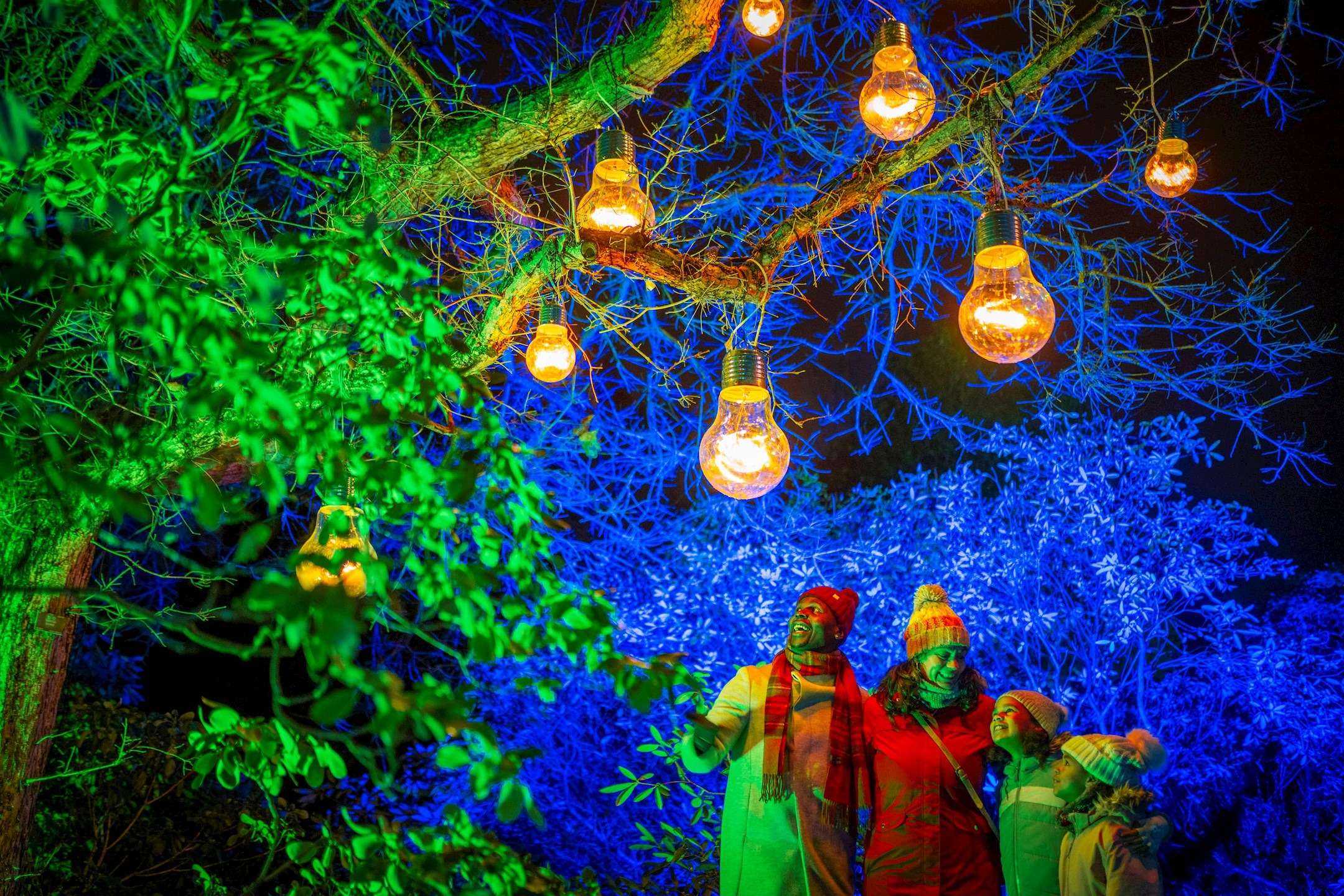 Discover The Edinburgh Botanic Gardens Light Trail