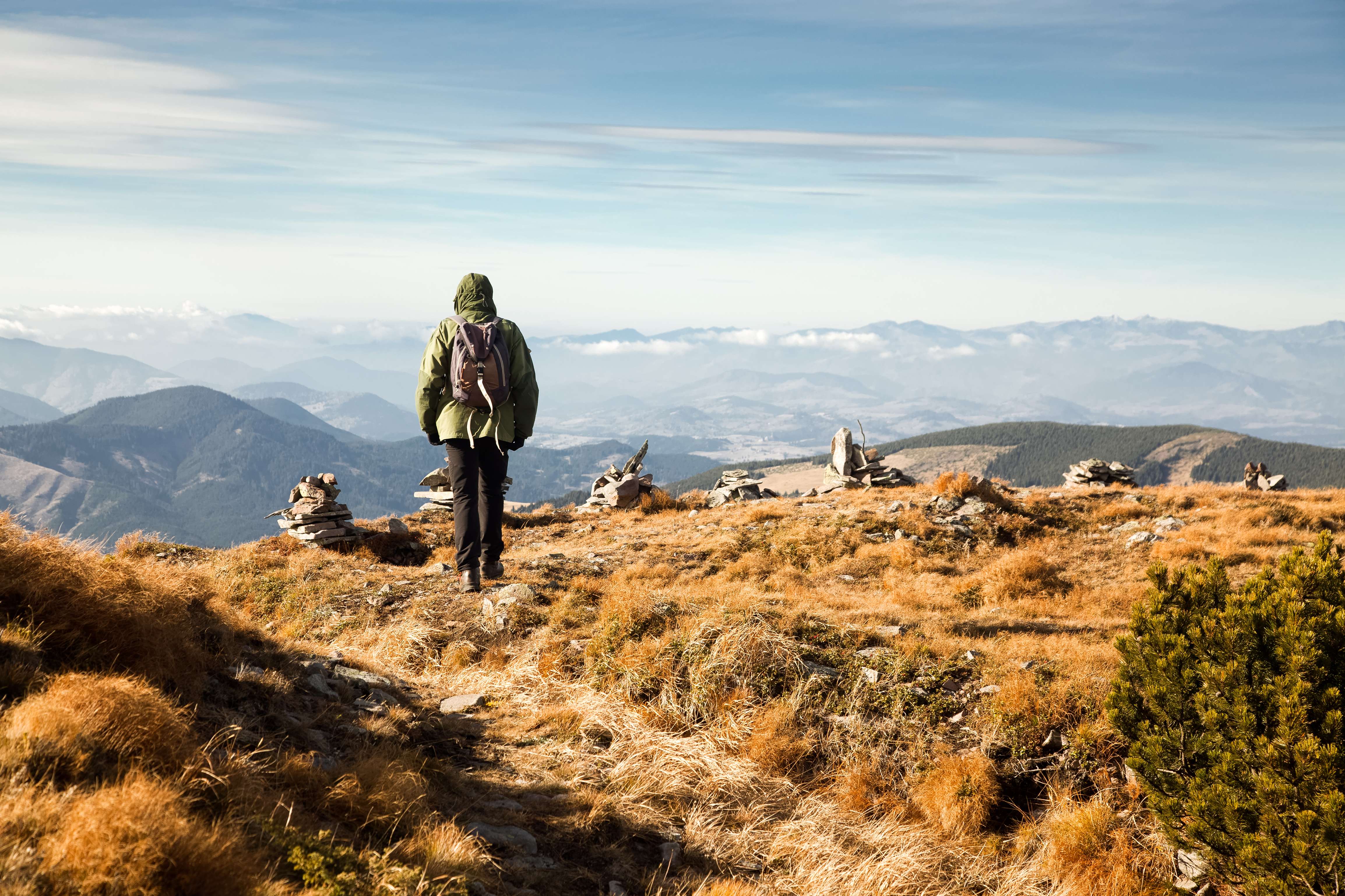 Calimani National Park
