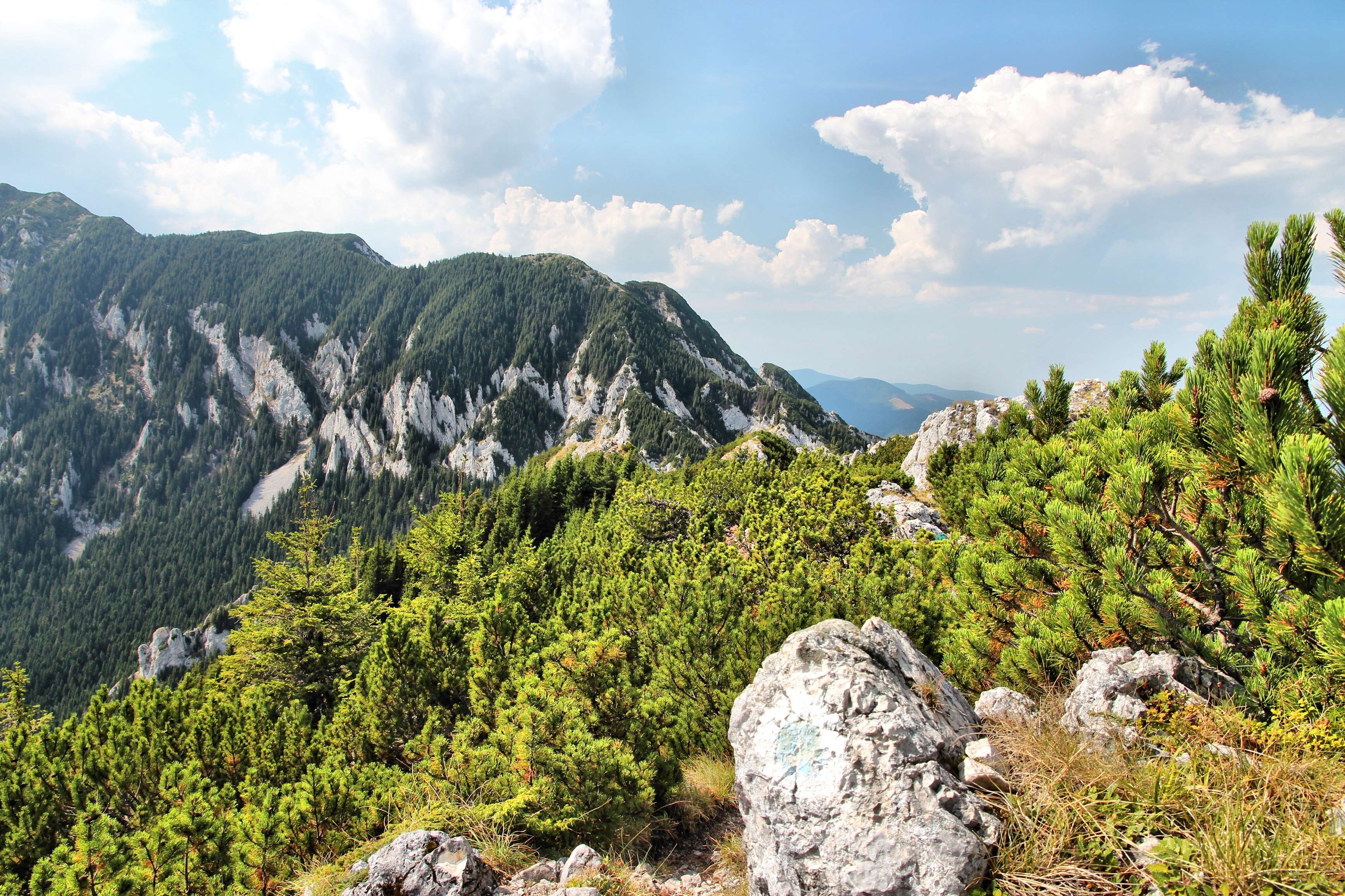 10 National Parks in Romania For A Perfect Wildlife Trip!