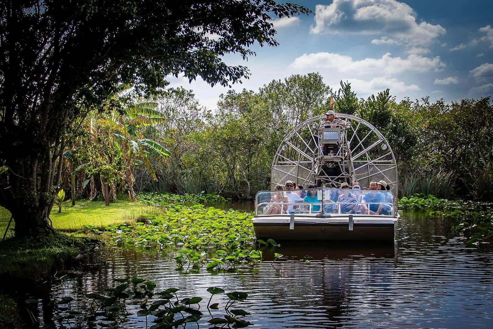 Experience Airboat Tour at the Everglades National Park