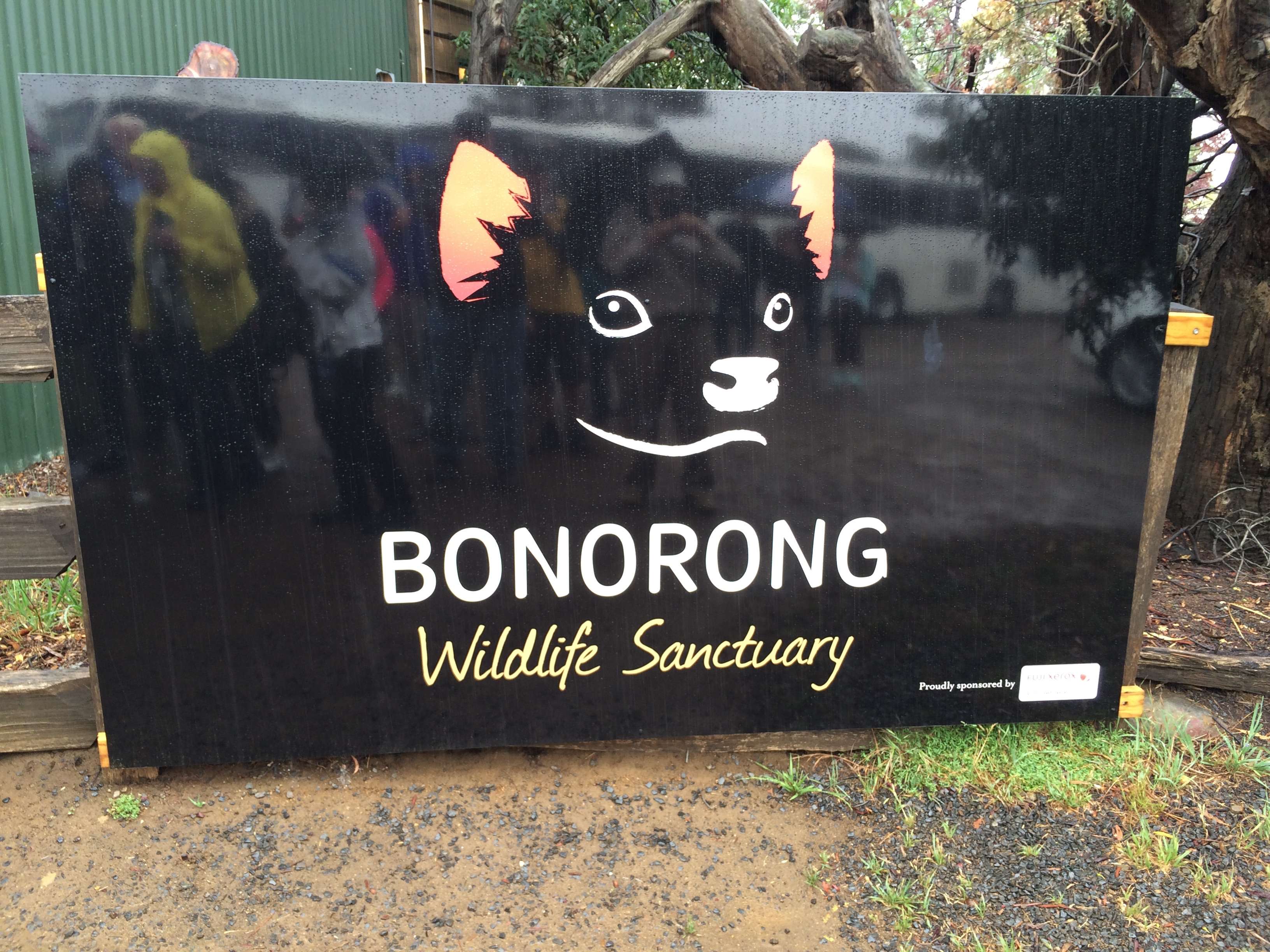 Explore Bonorong Wildlife Sanctuary