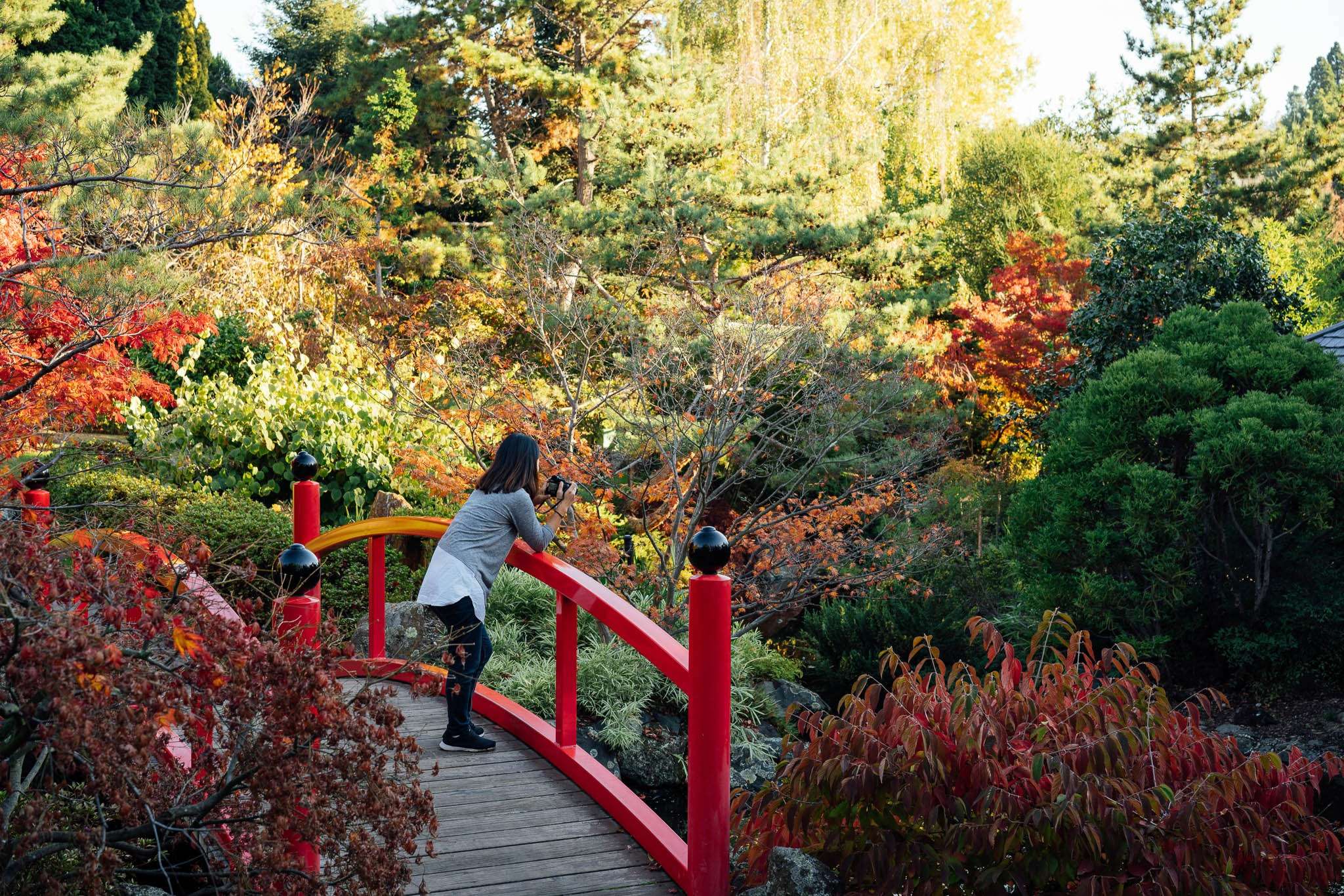 Visit Royal Tasmanian Botanical Gardens