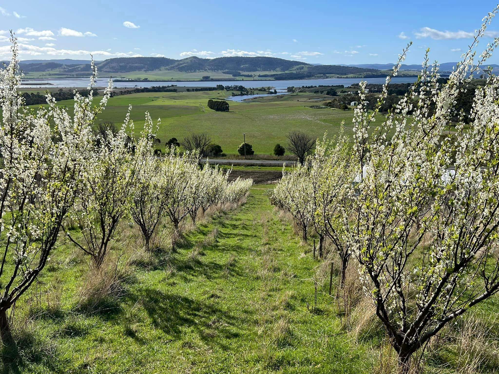 Spent Time at Coal River Farm