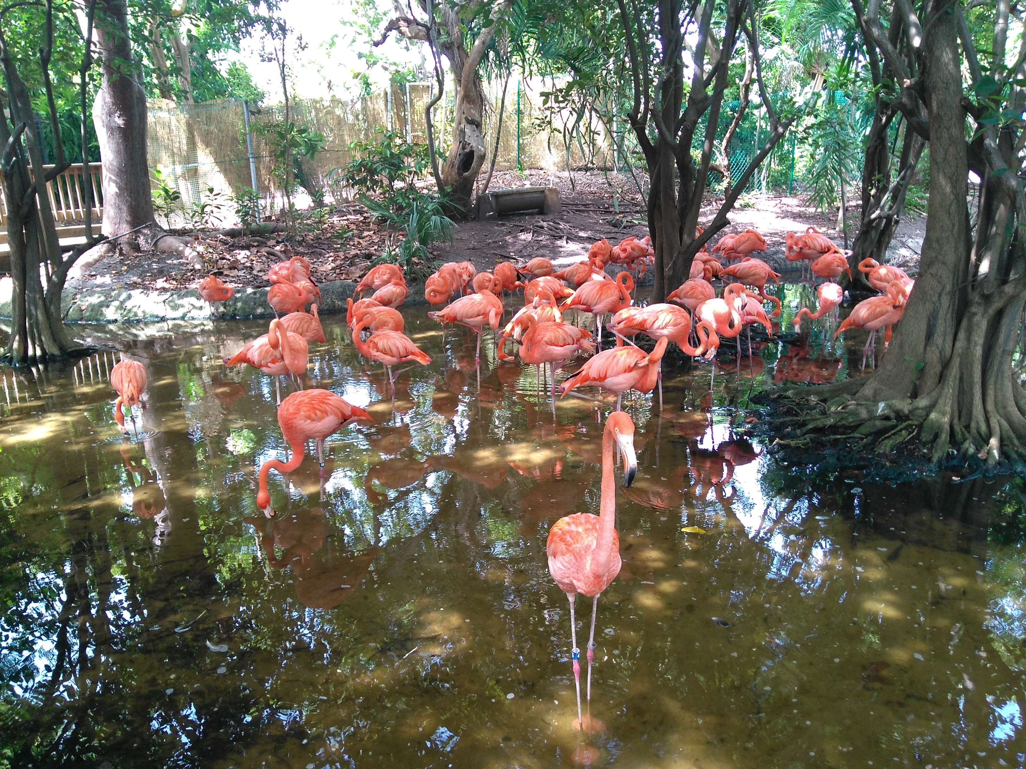 Afternoon Picnic at the Jungle Island Eco-Park