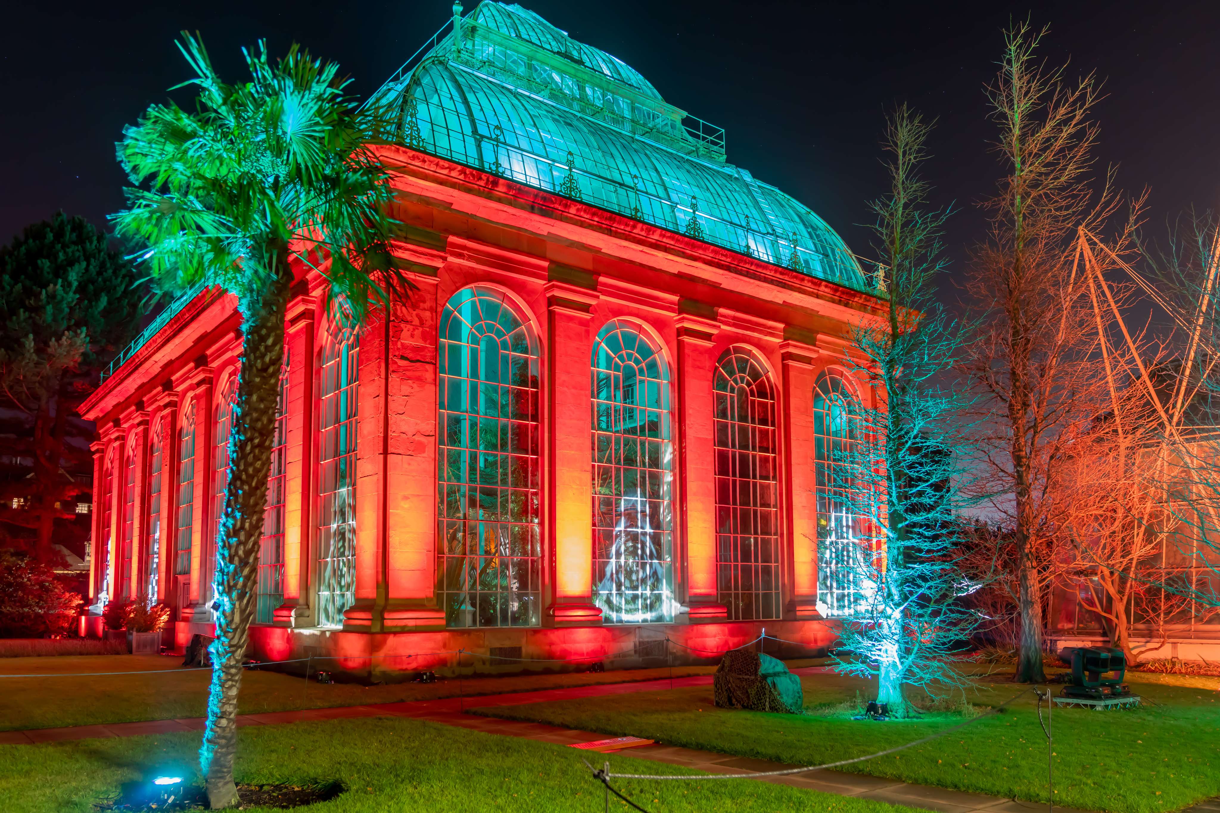 Explore A Magical Illuminated Trail At The Botanics