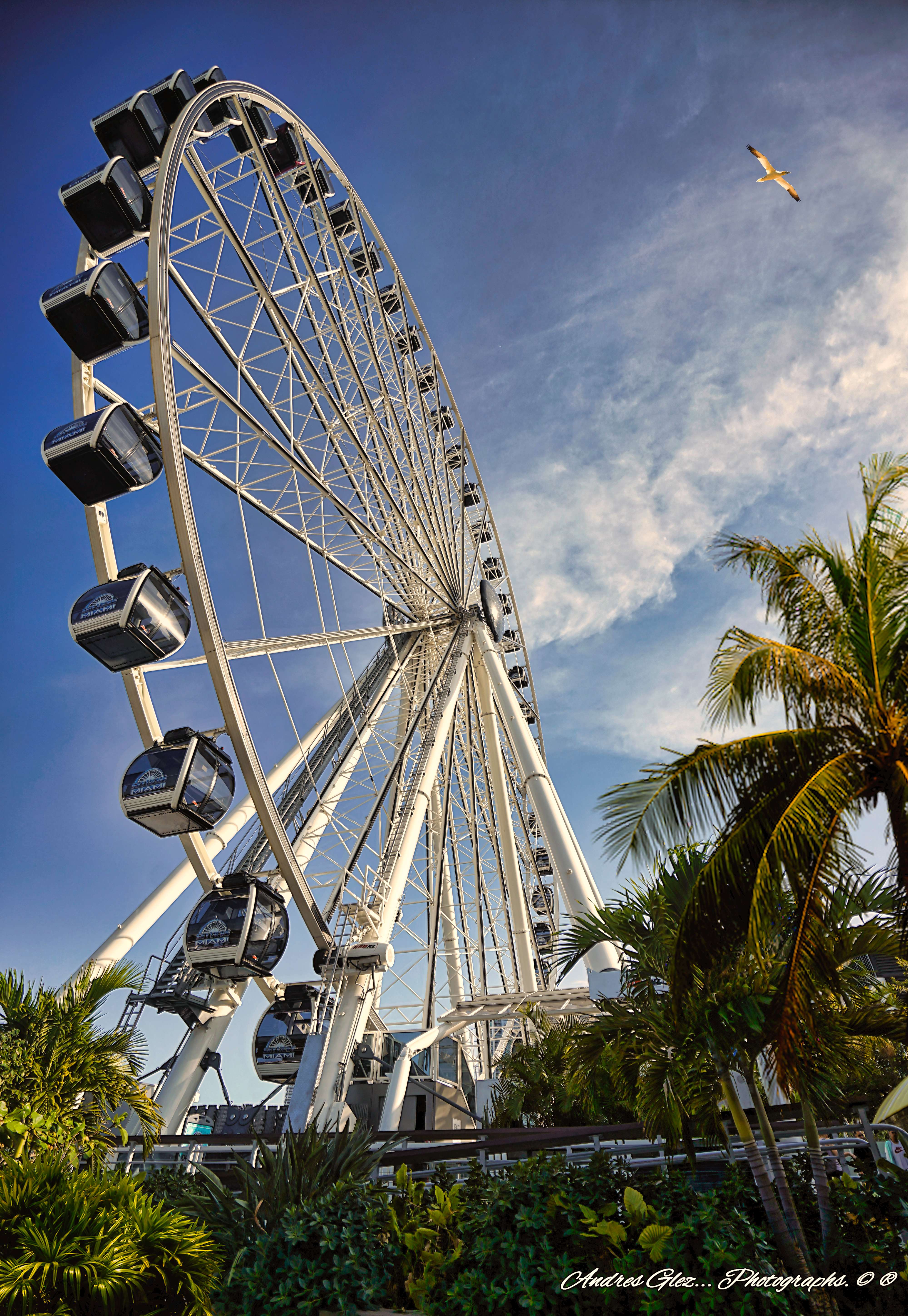 Explore Skyviews Miami Observation Wheel