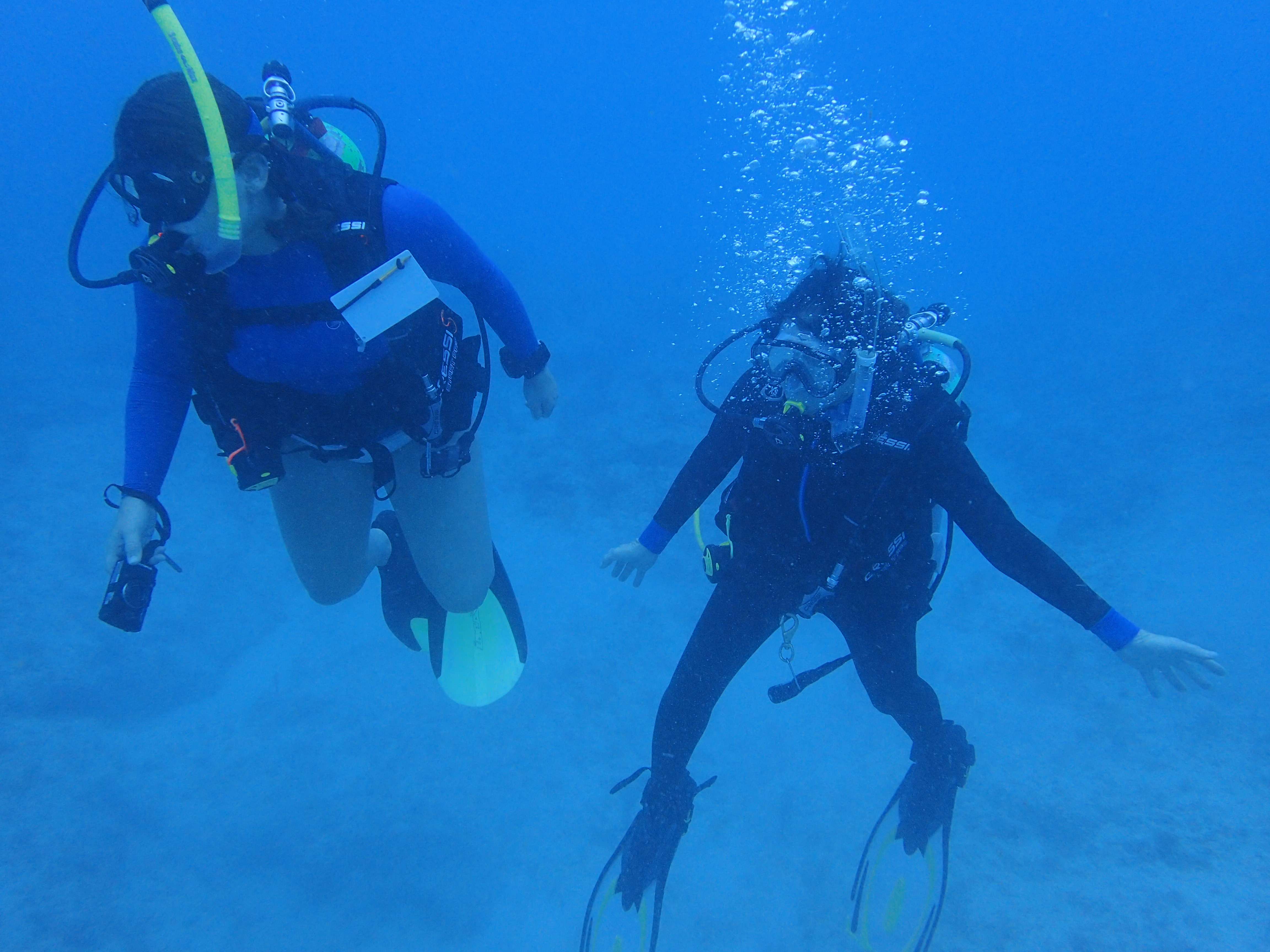 Experience Snorkeling at Key Largo National Marine Sanctuary