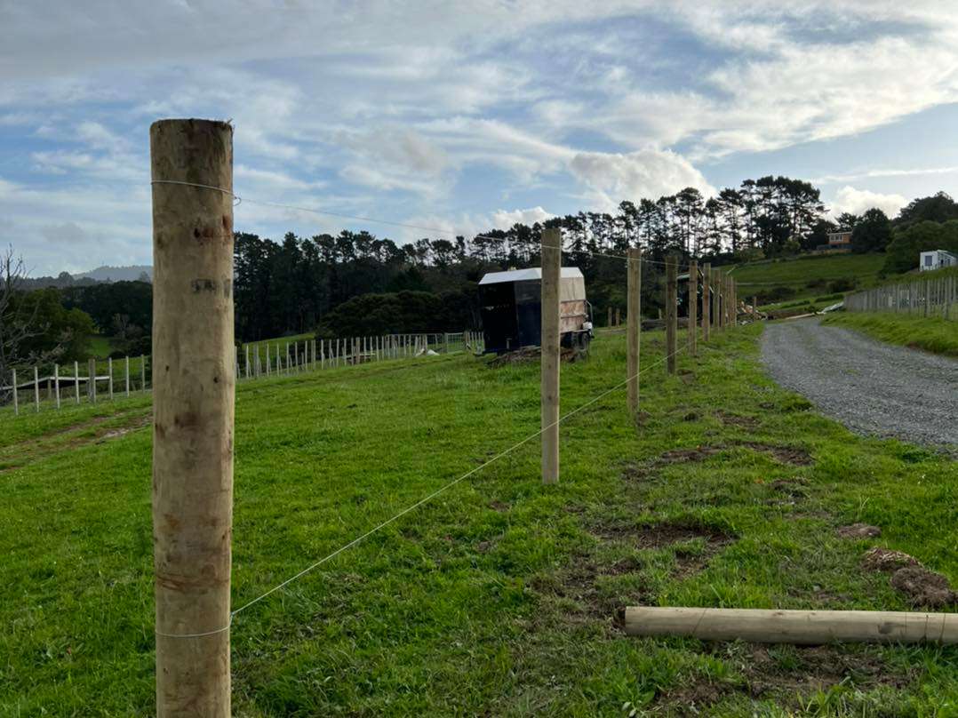 Chill At Kiwi Valley Farm Park