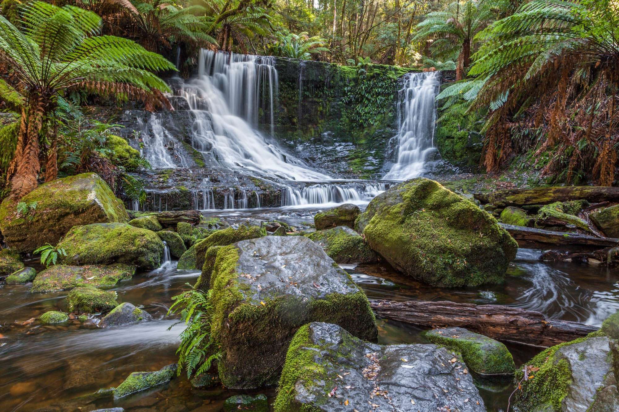 Mount Field National Park