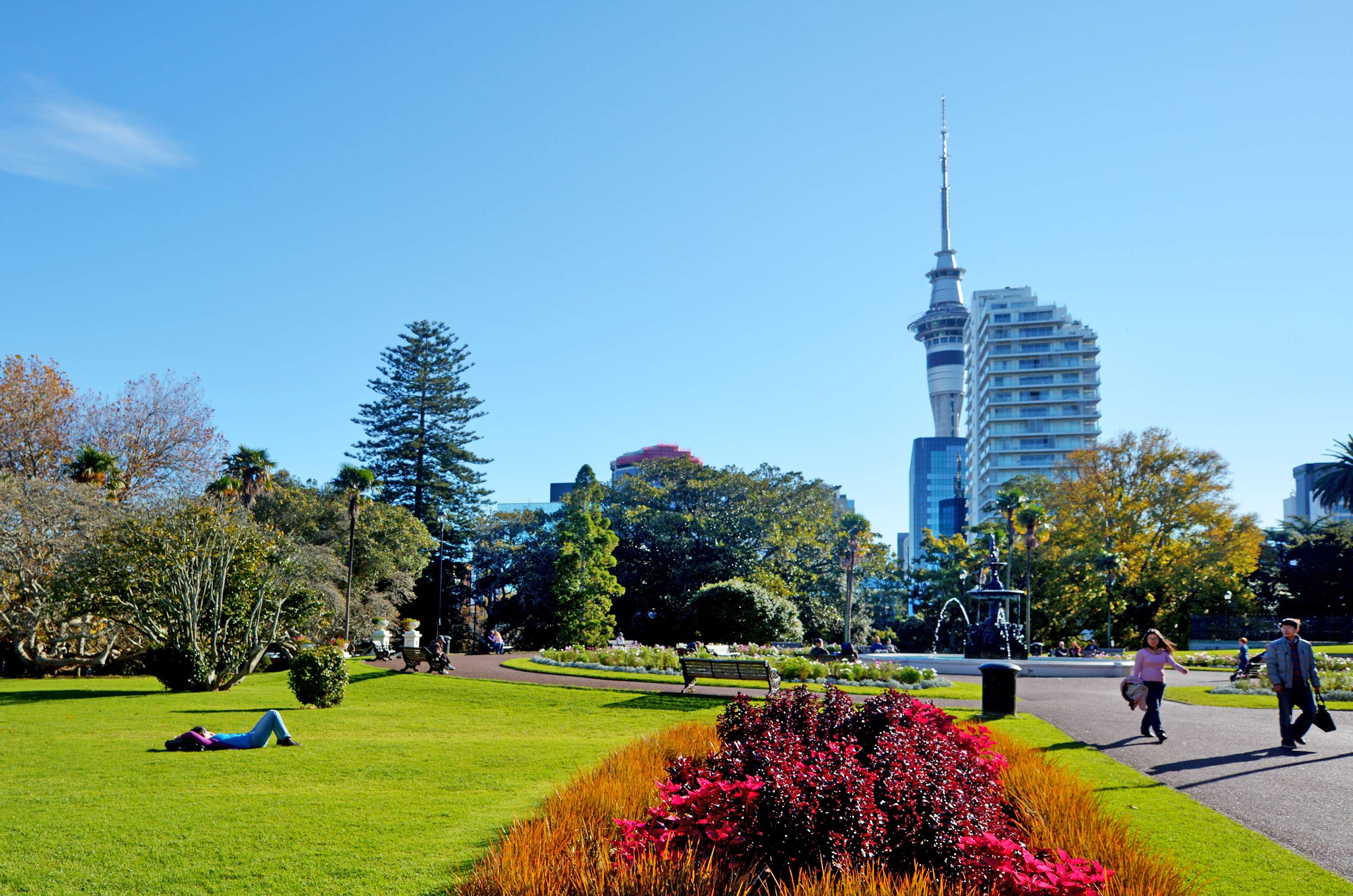 15 Things To Do In Auckland With Kids That You Must Try Once!