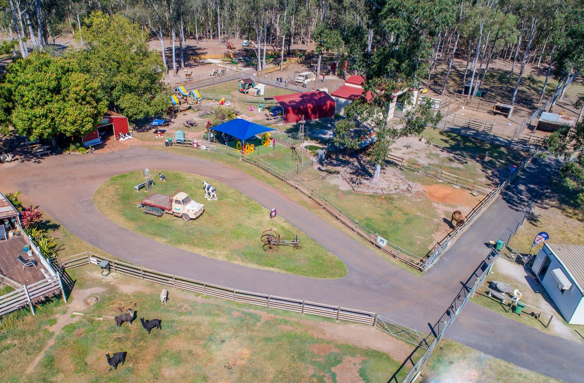 Enjoy at White Ridge Farm