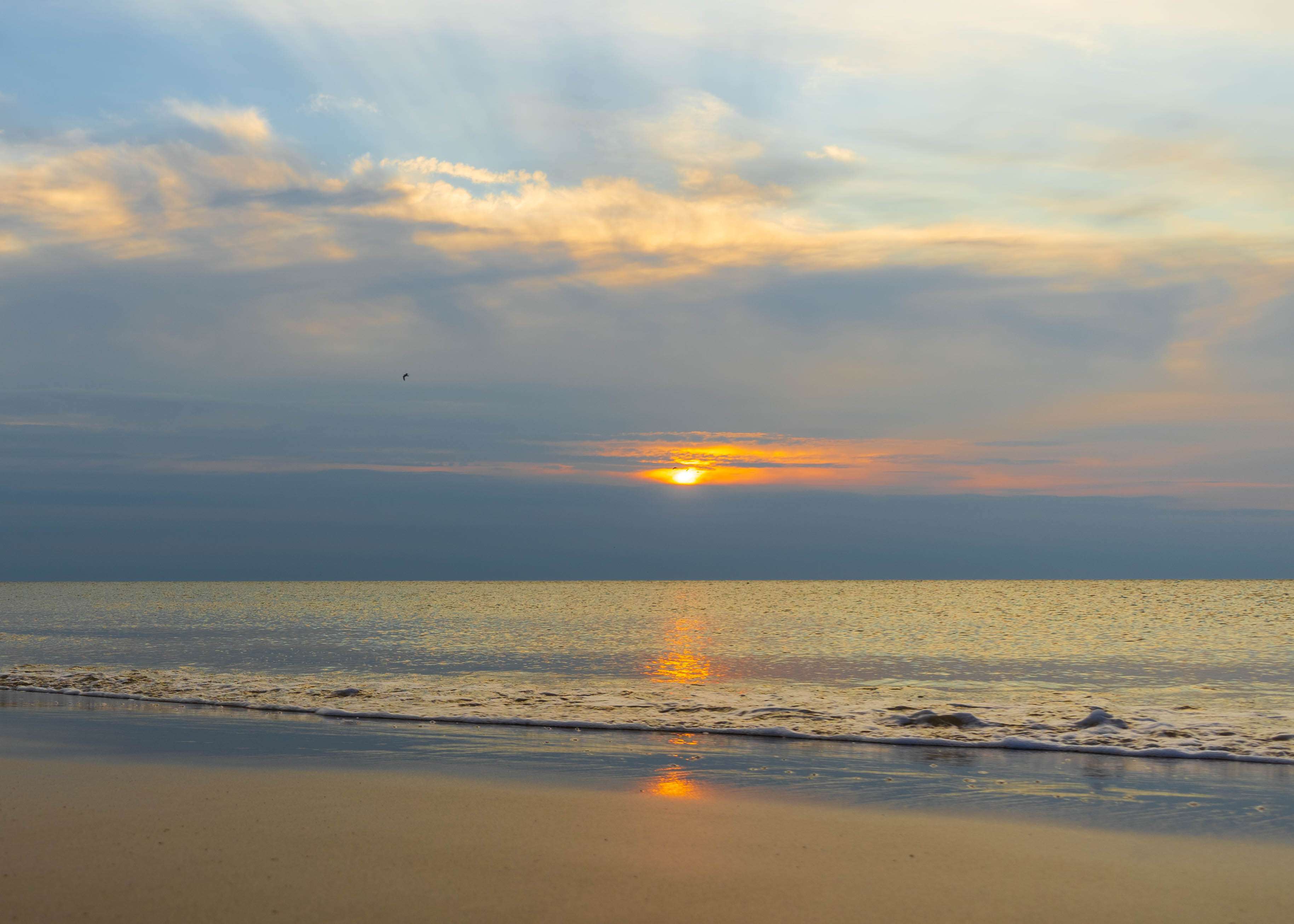 Westerland Beach, Sylt