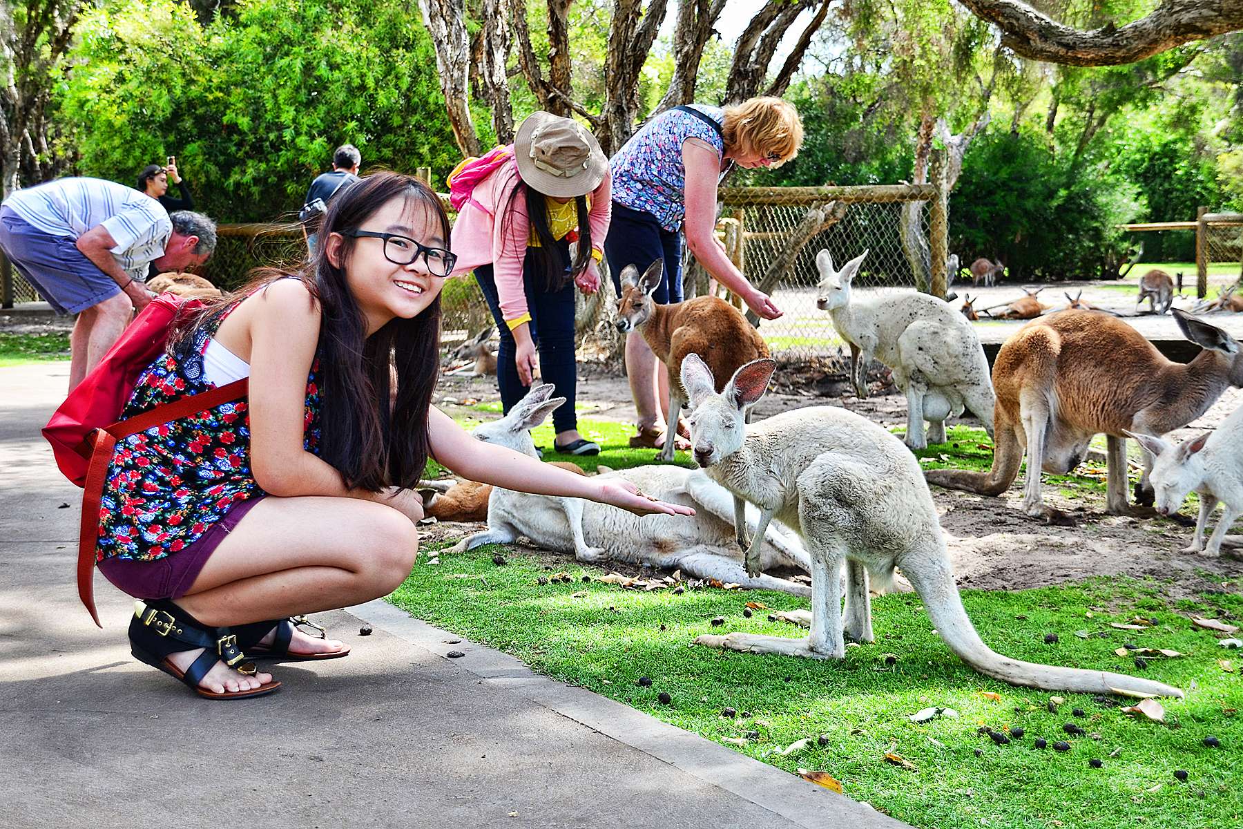 Meet with Wild Animals at Caversham Wildlife Park