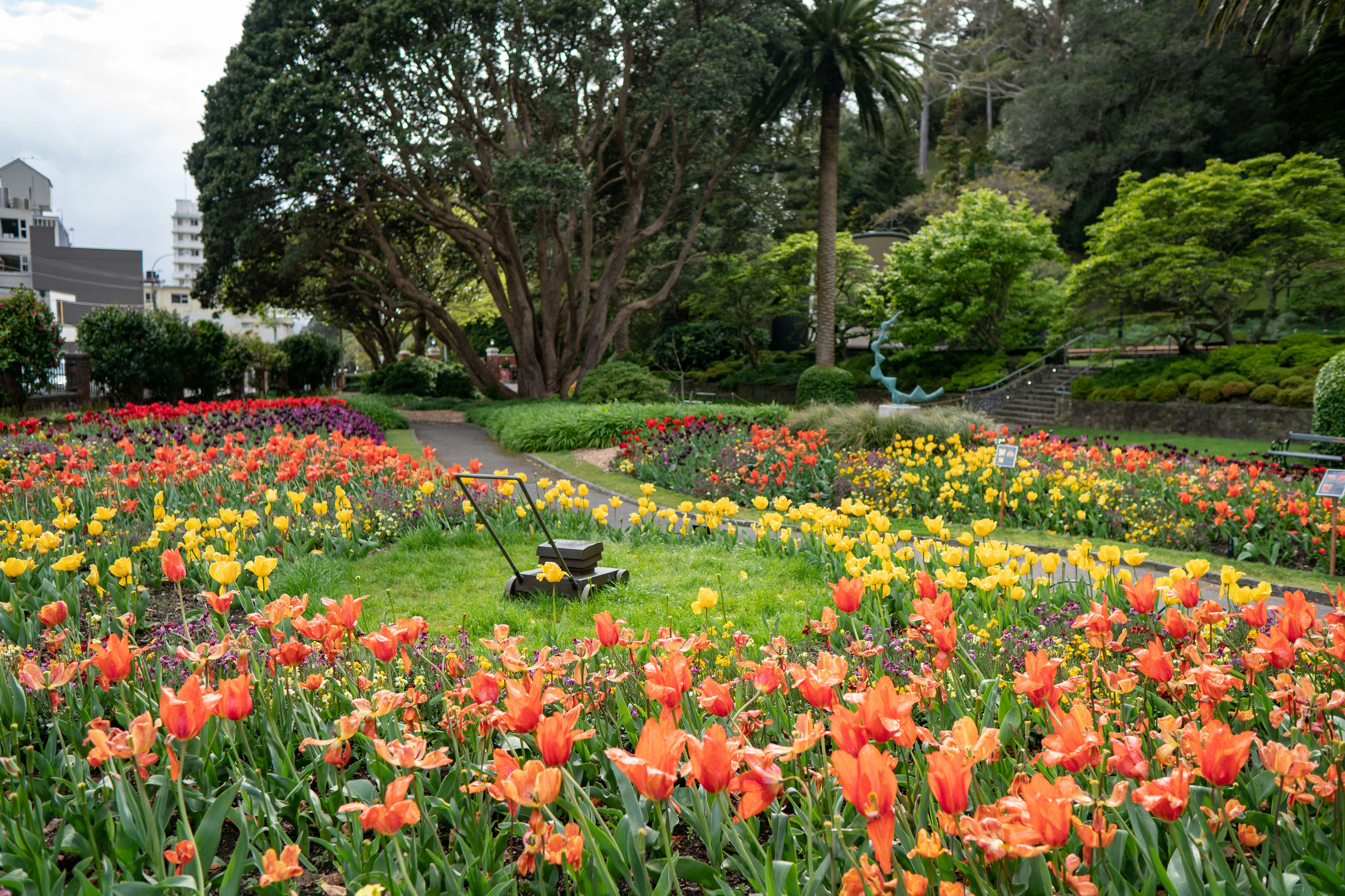 A Pleasant Visit To Wellington Botanical Gardens