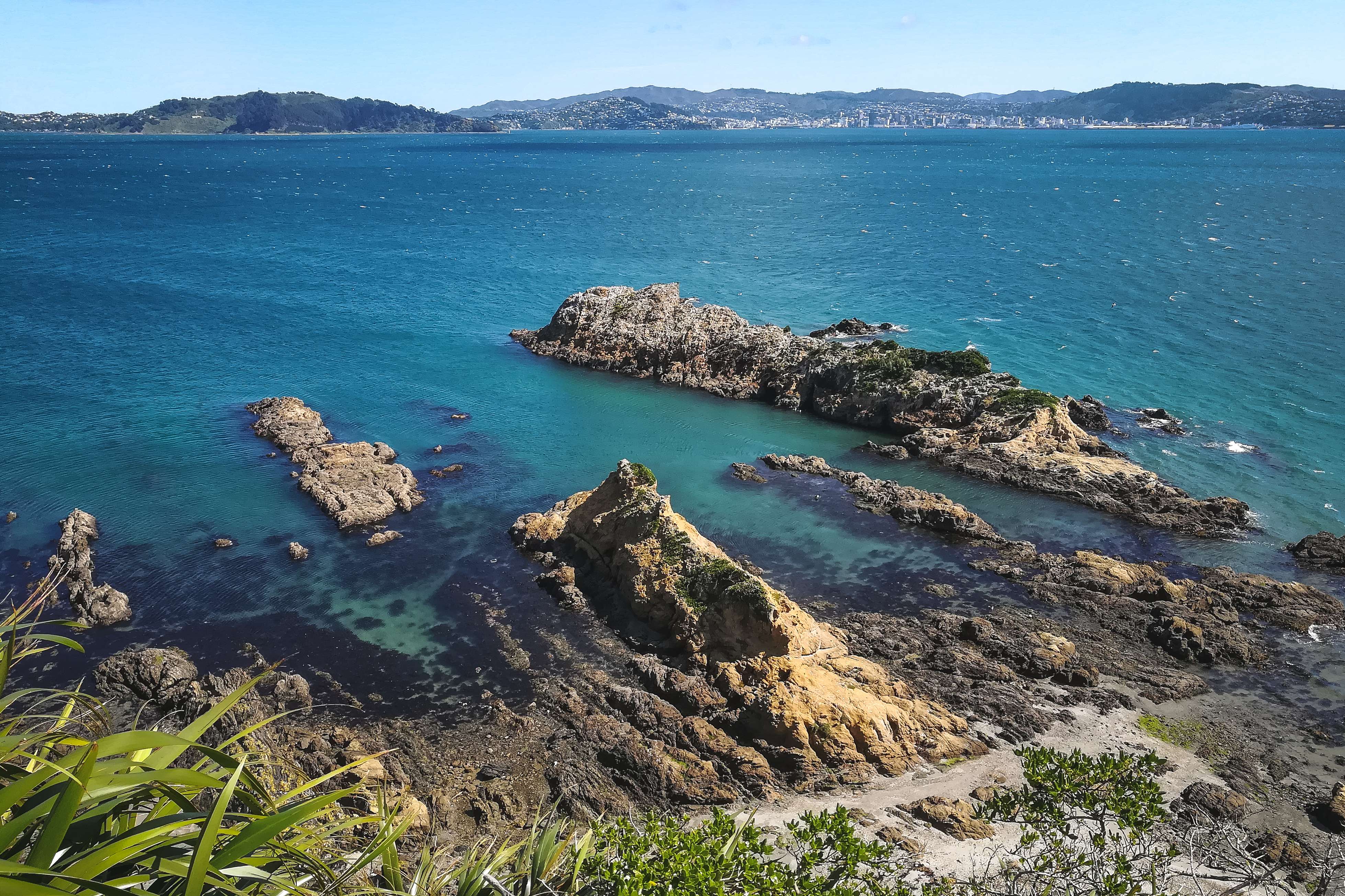 Take the Ferry to Matiu/Somes Island