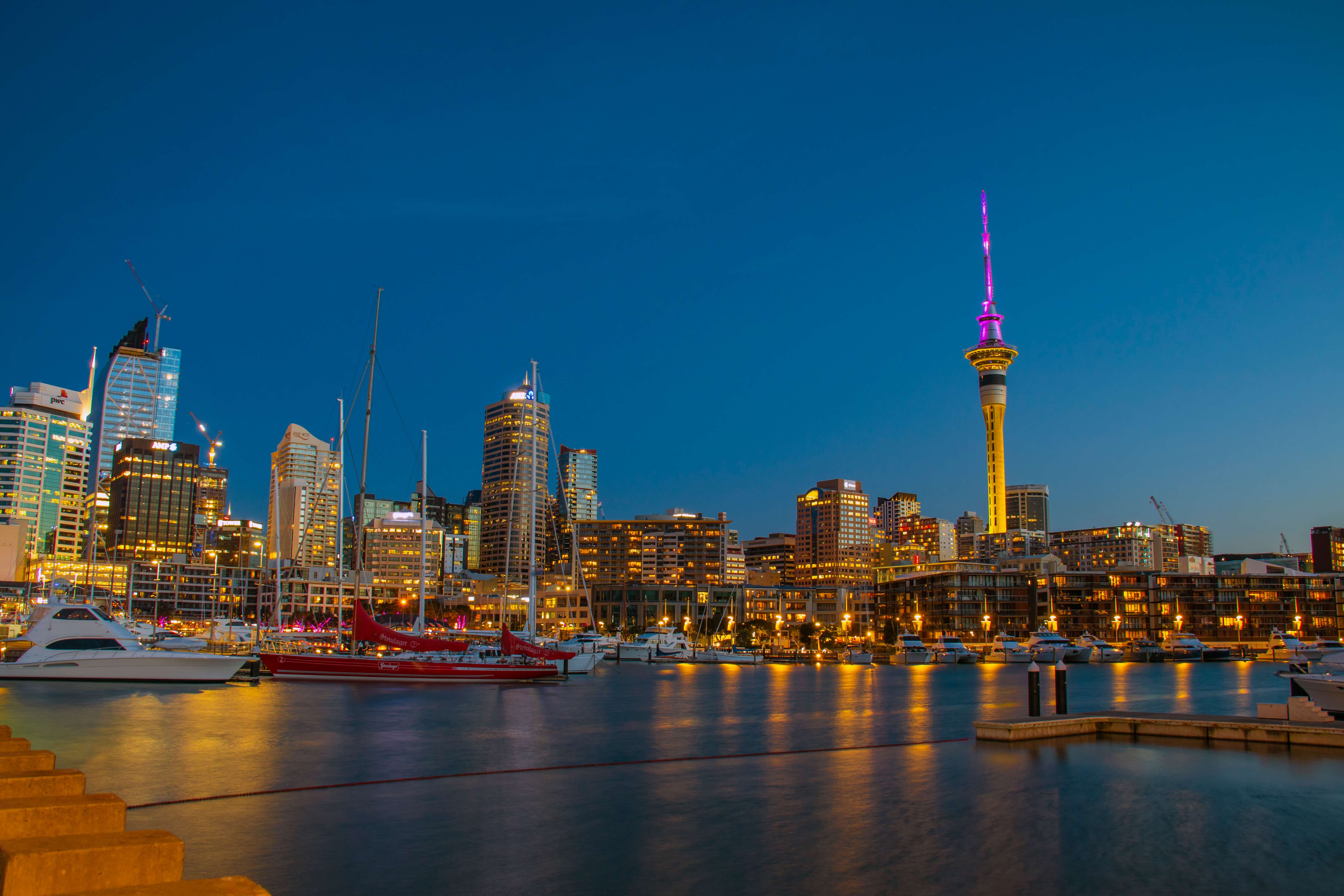 Skyline Walkway – Makara Saddle