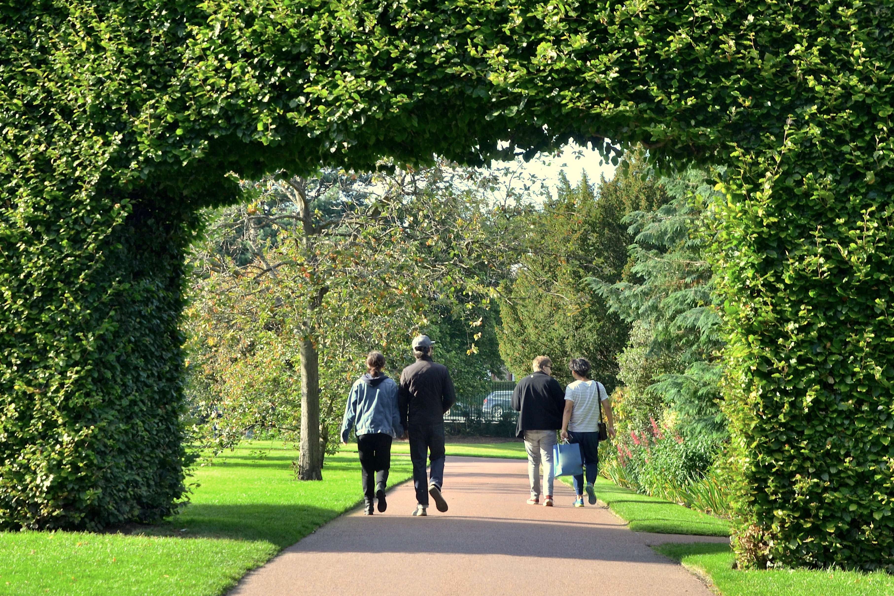 Take A Stroll In The Royal Botanic Garden
